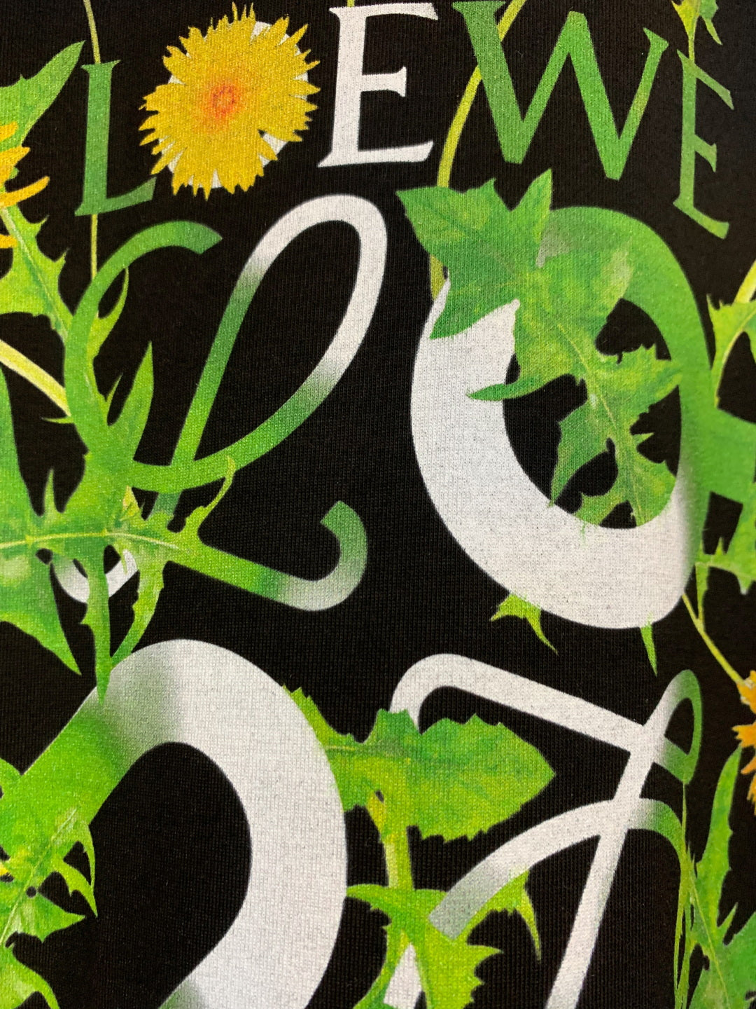 LuxluxHouse Best Quality Clothes T-shirt Loewe