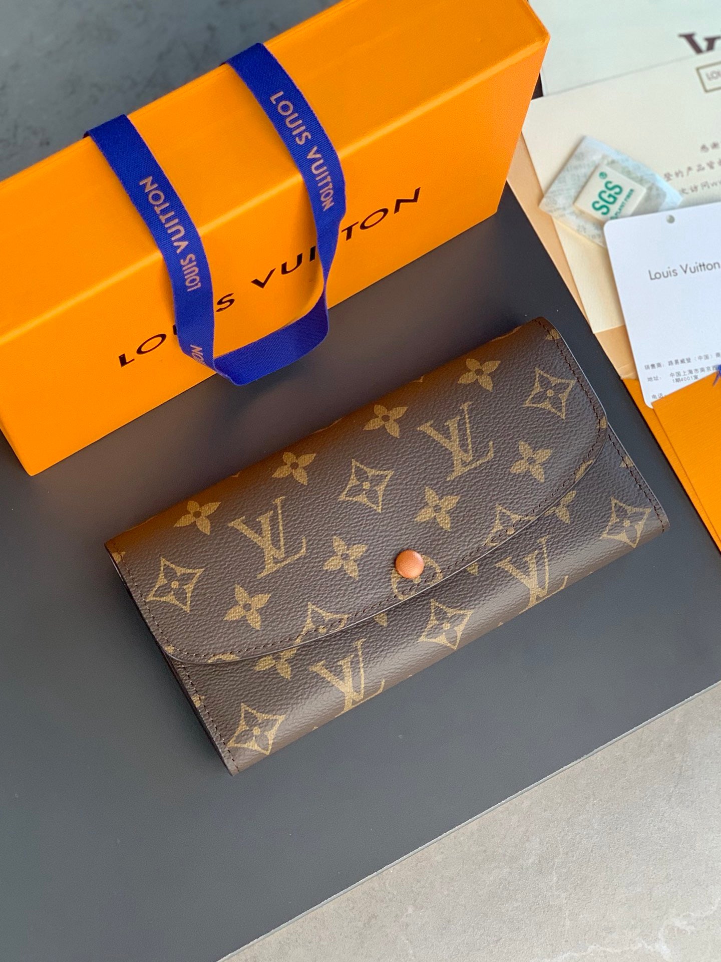 Louis Vuitton Top Bag (LuxluxHouse)