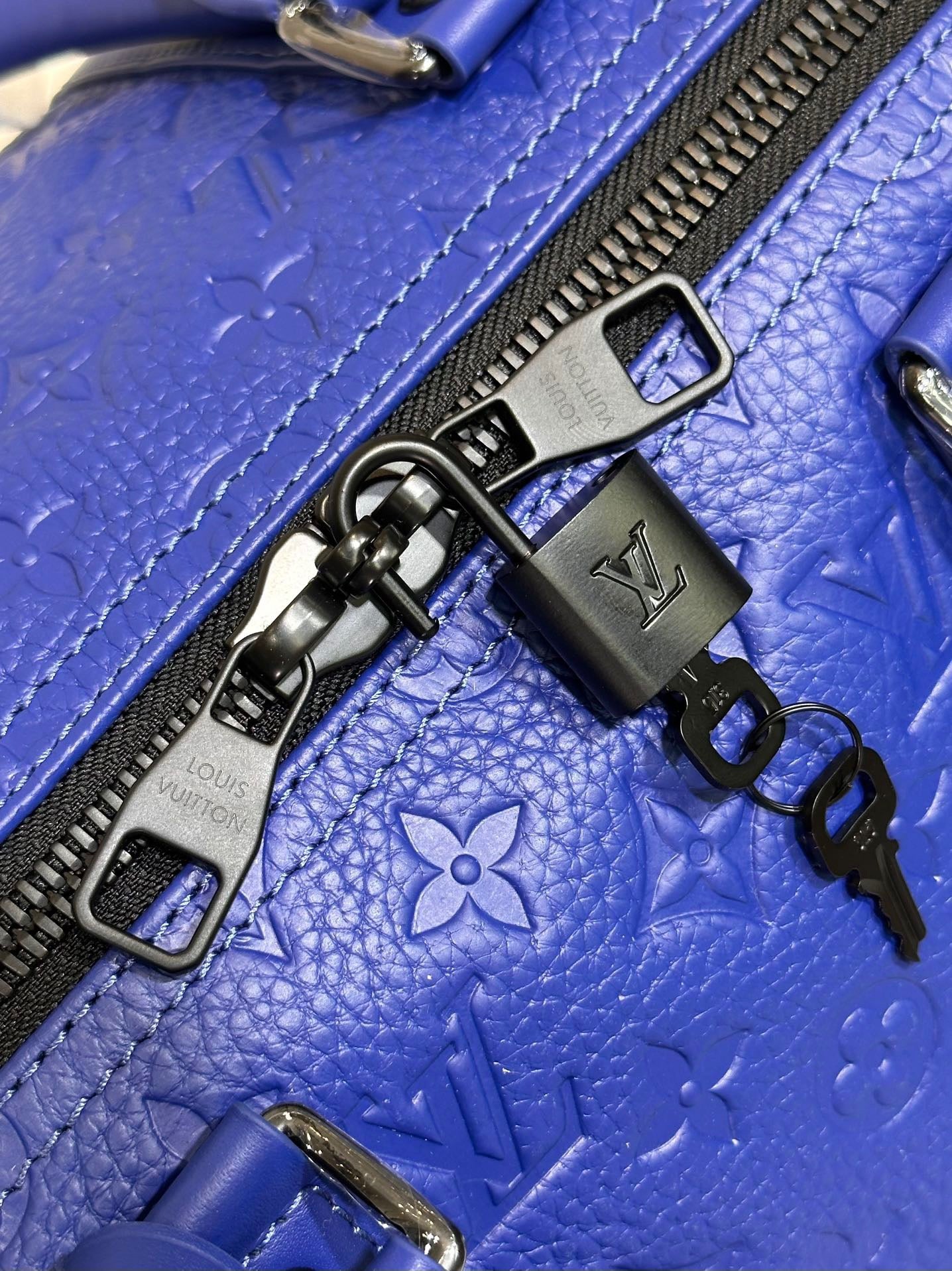 Louis Vuitton Top Bag (LuxluxHouse)