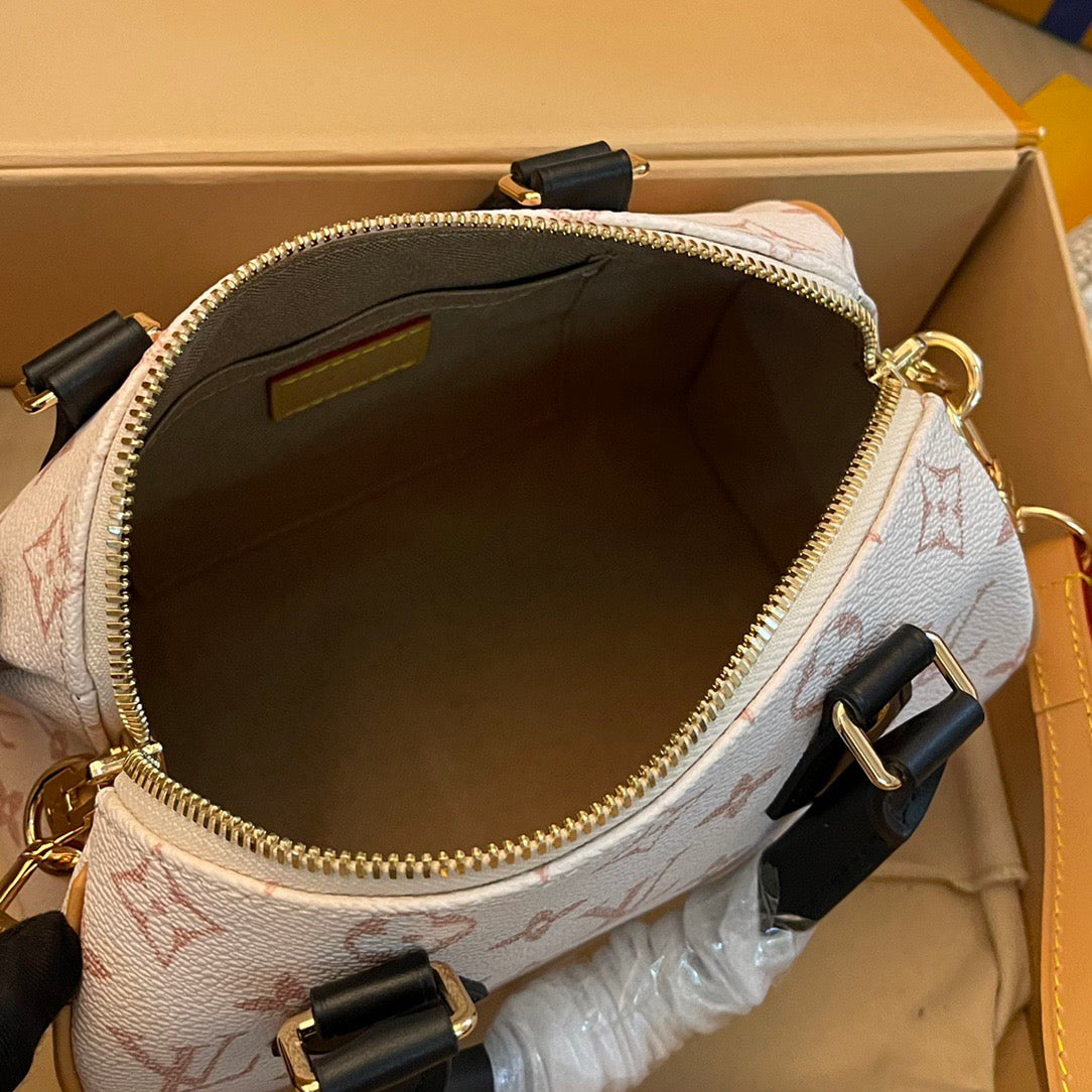 Louis Vuitton Top Bag (LuxluxHouse)