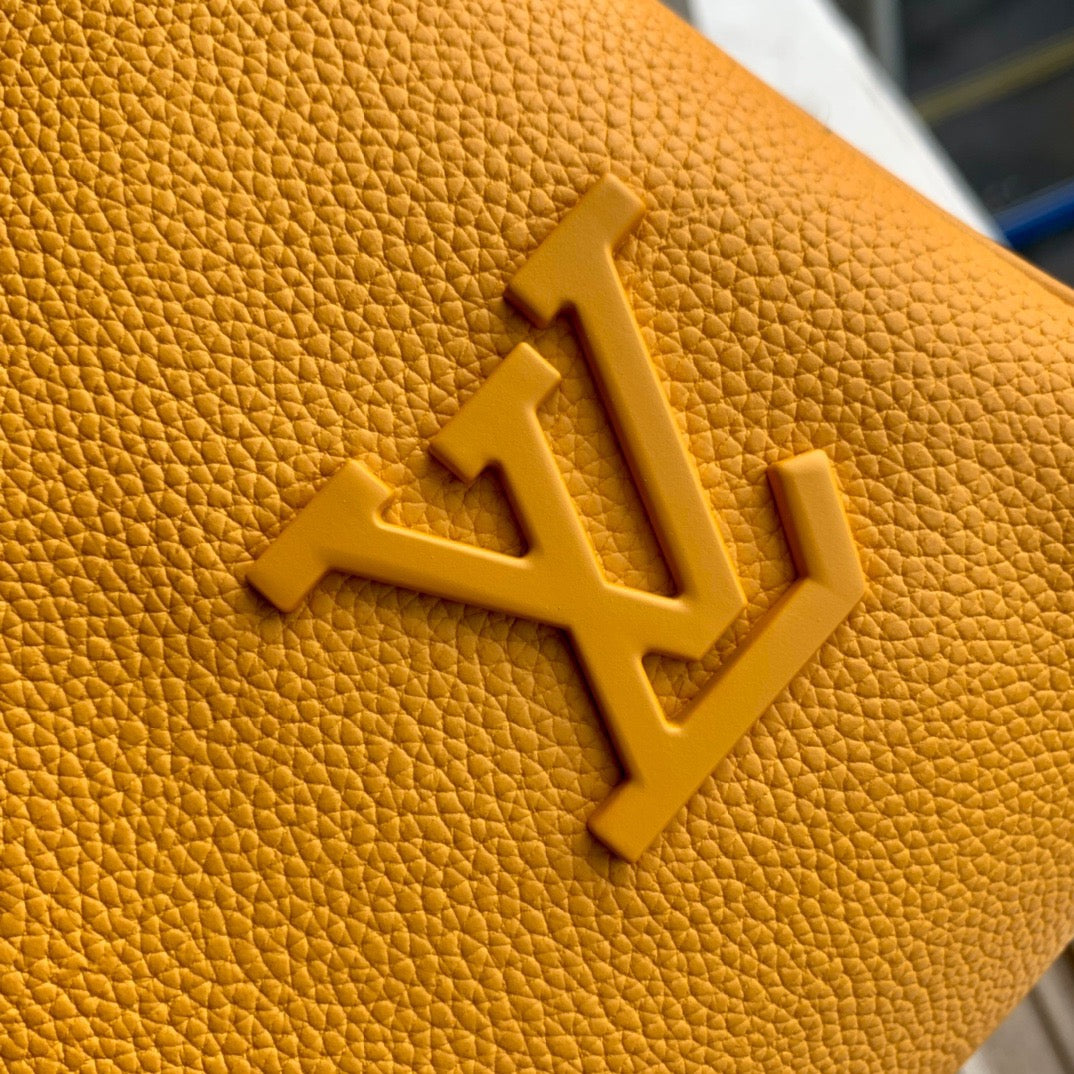 Louis Vuitton Top Bag (LuxluxHouse)