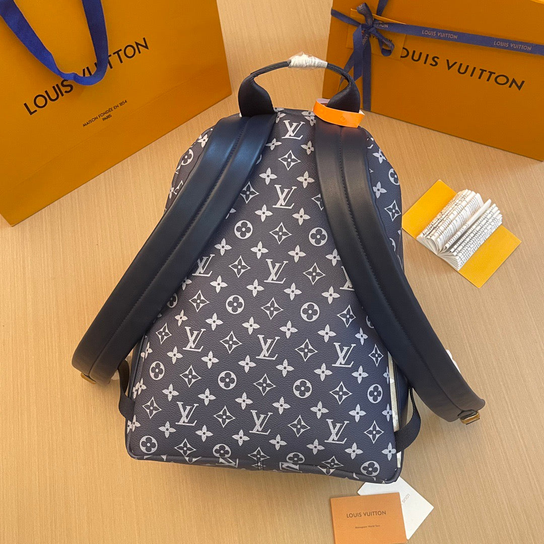 Louis Vuitton Top Bag (LuxluxHouse)