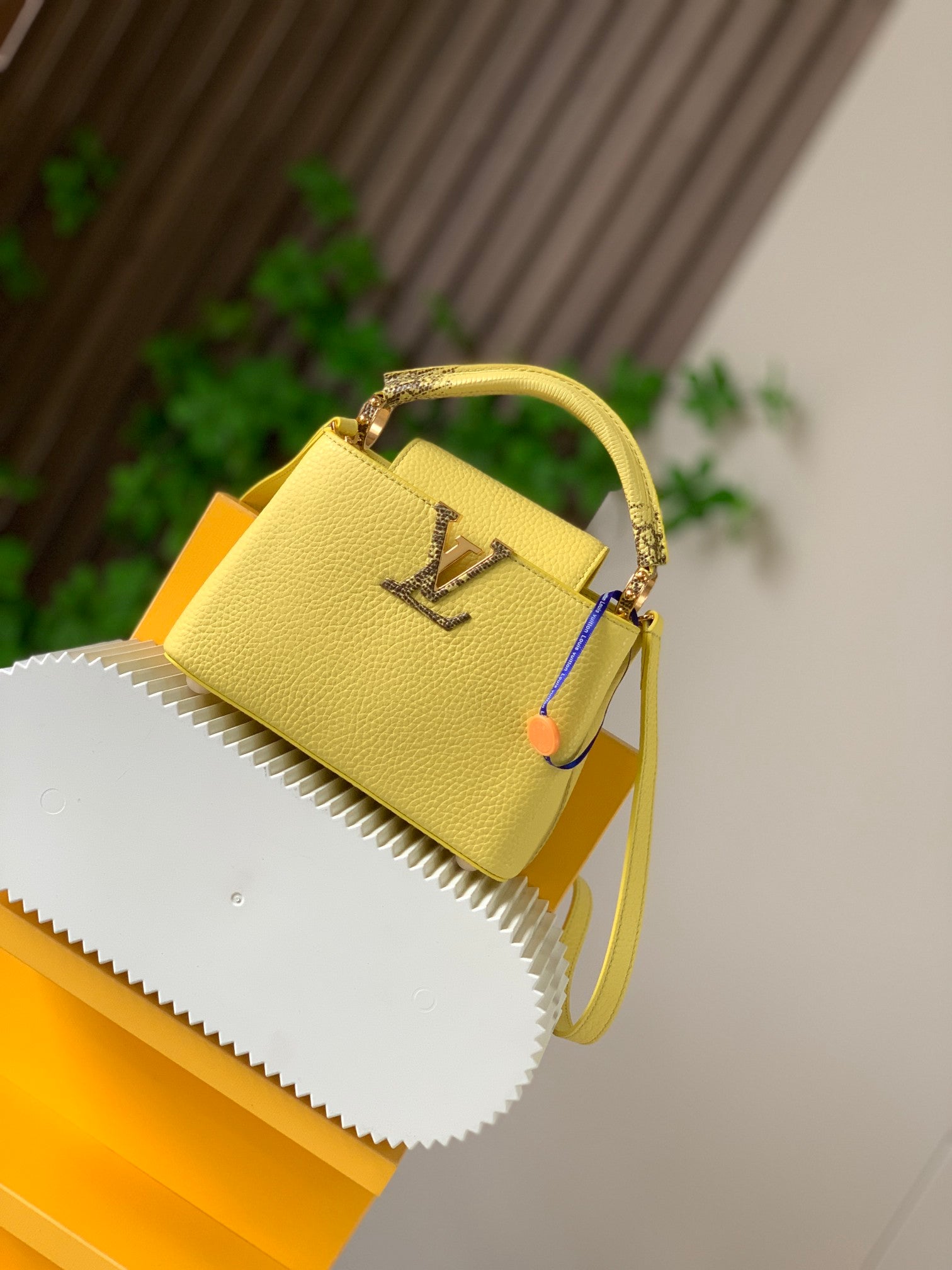 LuxluxHouse Great quality Louis Vuitton Bag Top Quality 21*14*8CM Free shipping