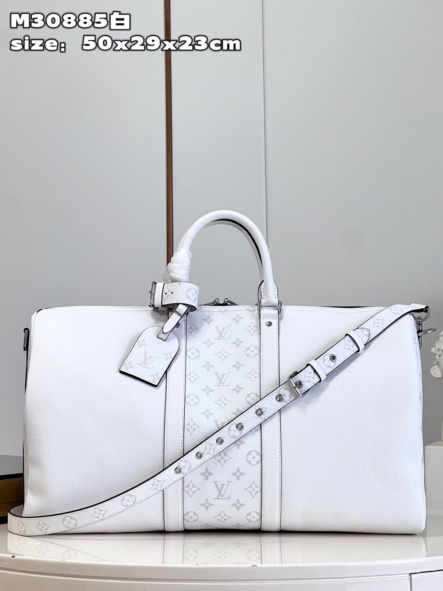 Louis Vuitton Top Bag (LuxluxHouse)