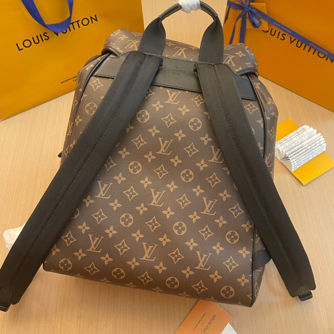 Louis Vuitton Top Bag (LuxluxHouse)