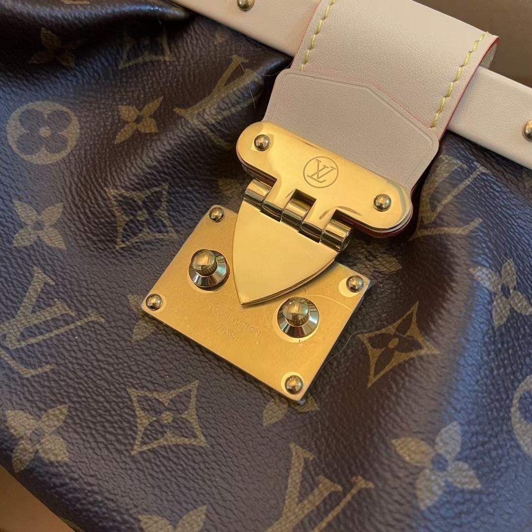 Louis Vuitton Top Bag (LuxluxHouse)