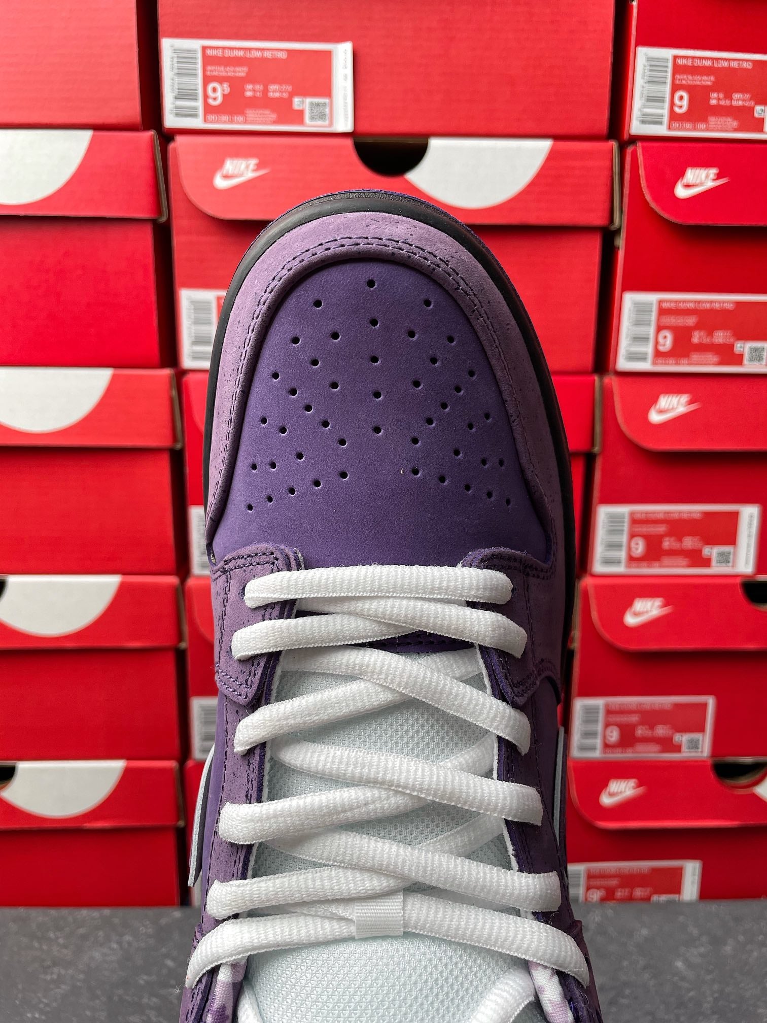 S2 Batch-Concepts x NK SB Dunk Low "Purple Lobster"