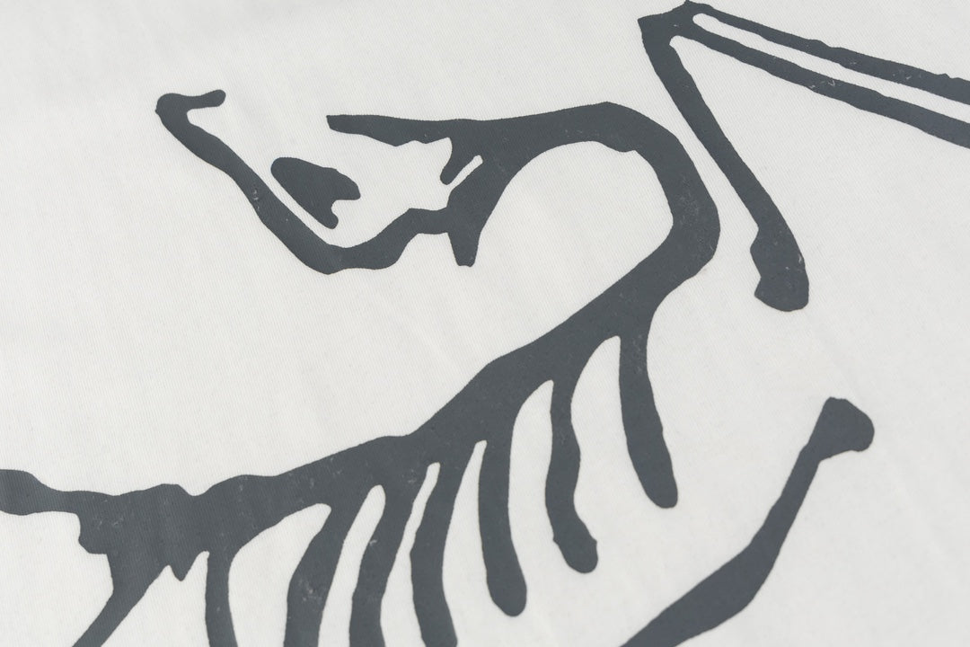 LuxluxHouse Best Quality Clothes T-shirt Arcteryx