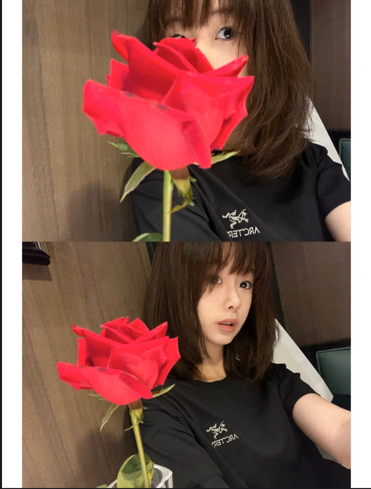 LuxluxHouse Best Quality Clothes T-shirt Arcteryx