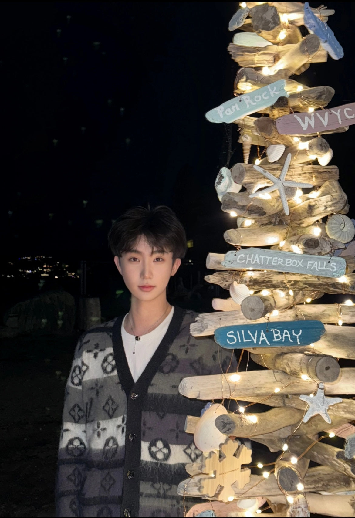 LuxluxHouse Best Quality Clothes Hoodie & Sweater Louis Vuitton