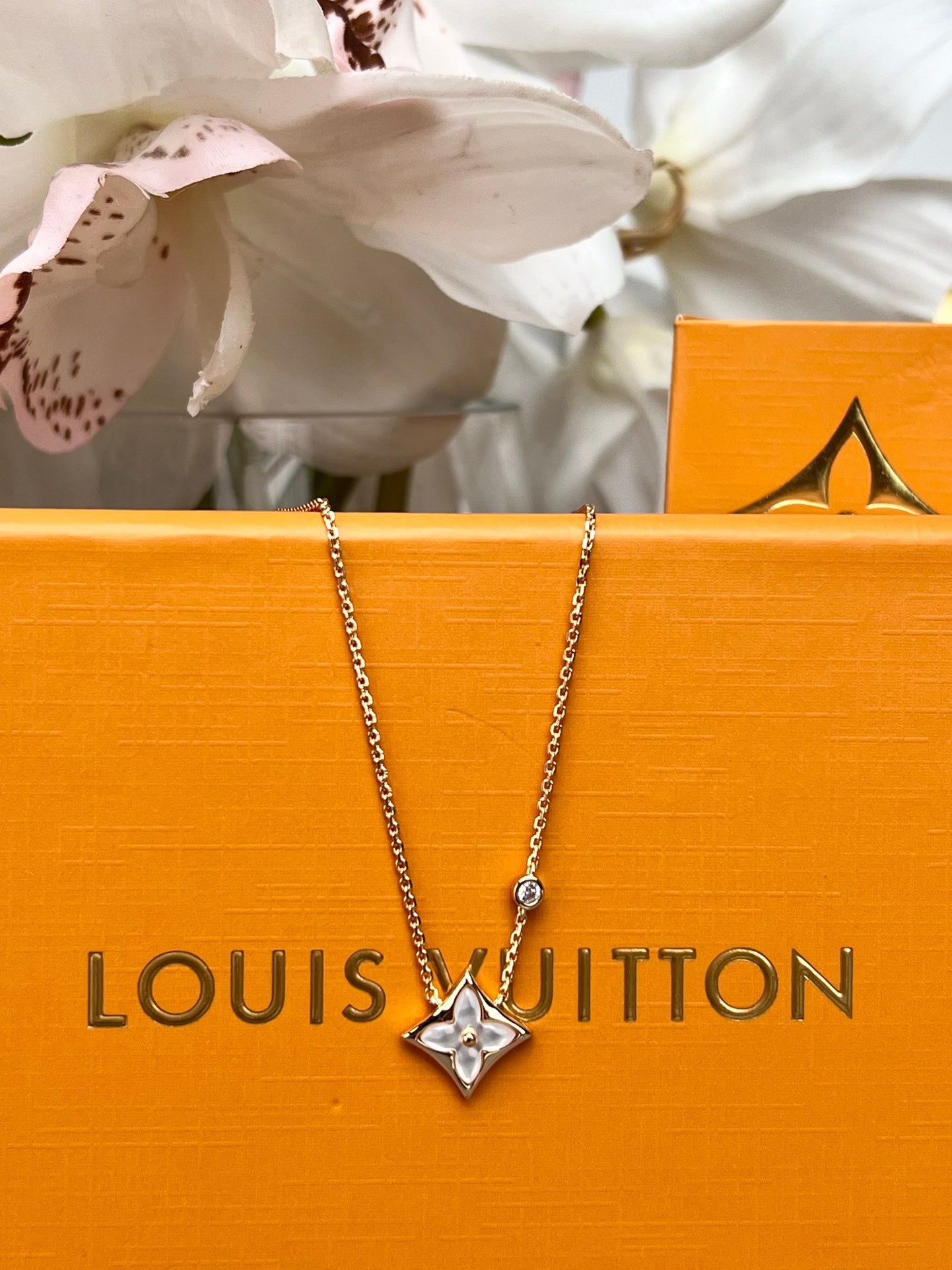LuxluxHouse Best Quality Accessories Necklace Louis Vuitton