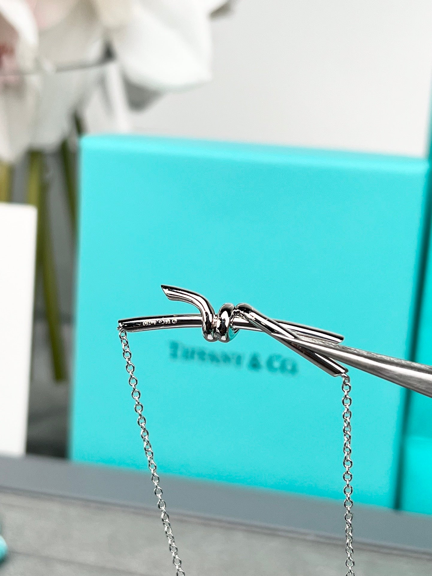 LuxluxHouse Best Quality Accessories Tiffany Necklace