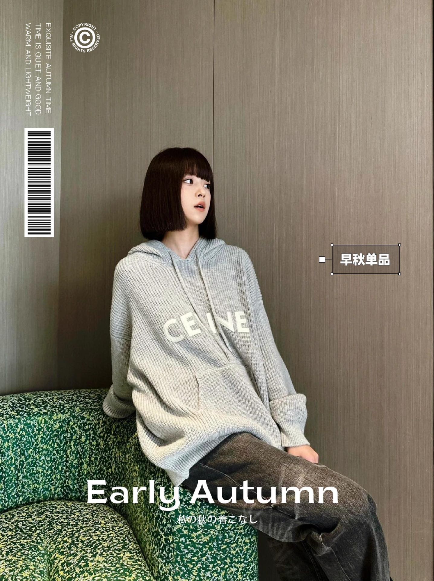 LuxluxHouse Best Quality Clothes Hoodie & Sweater Celine