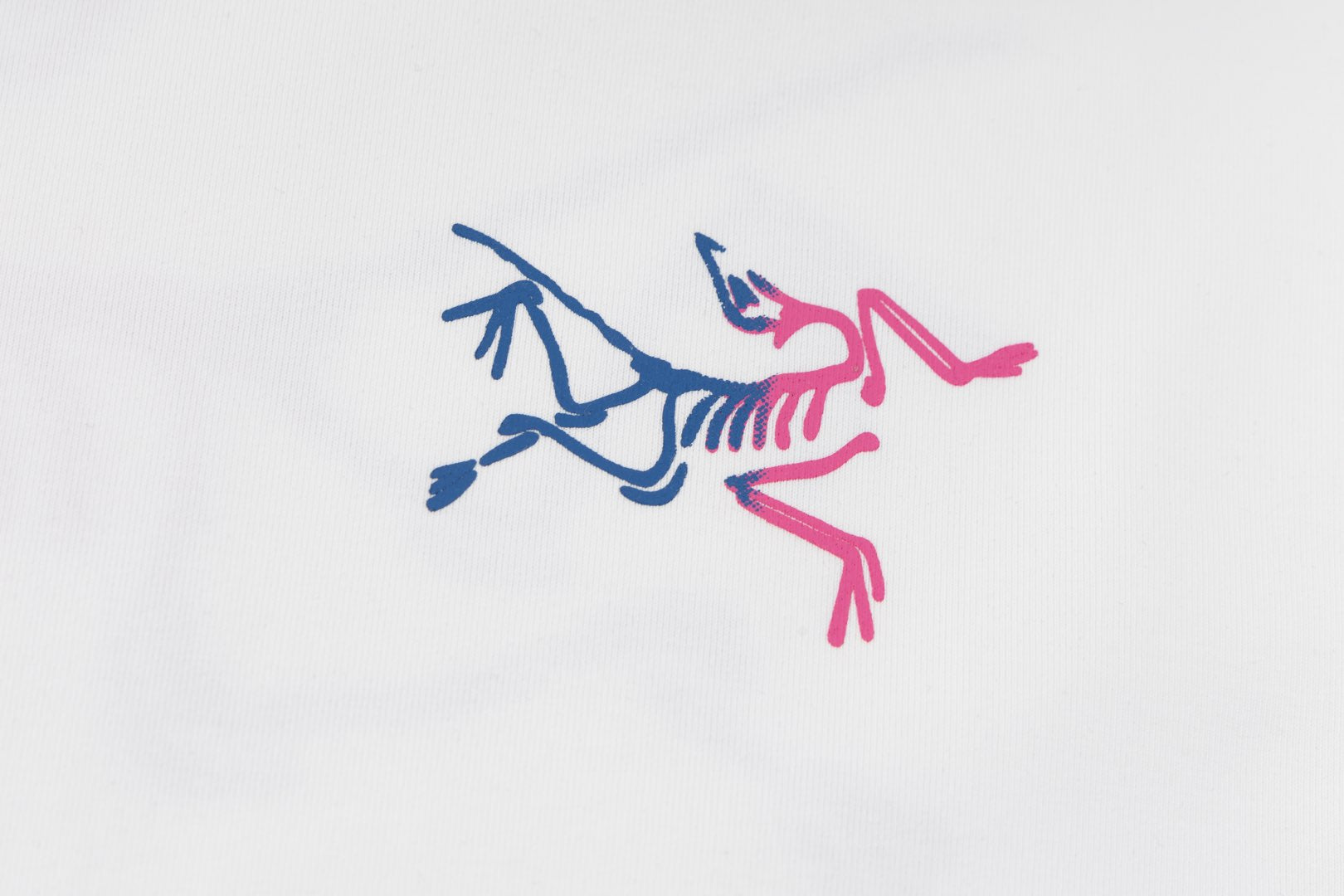 LuxluxHouse Best Quality Clothes T-shirt Arcteryx