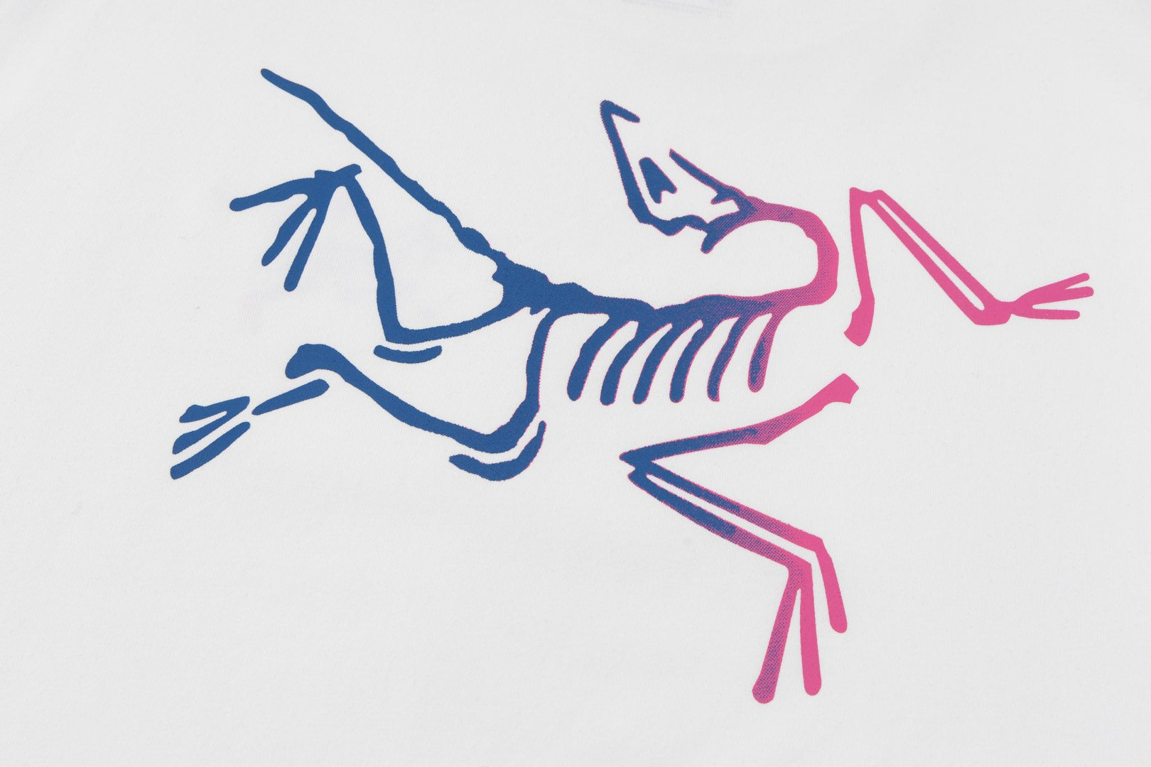 LuxluxHouse Best Quality Clothes T-shirt Arcteryx