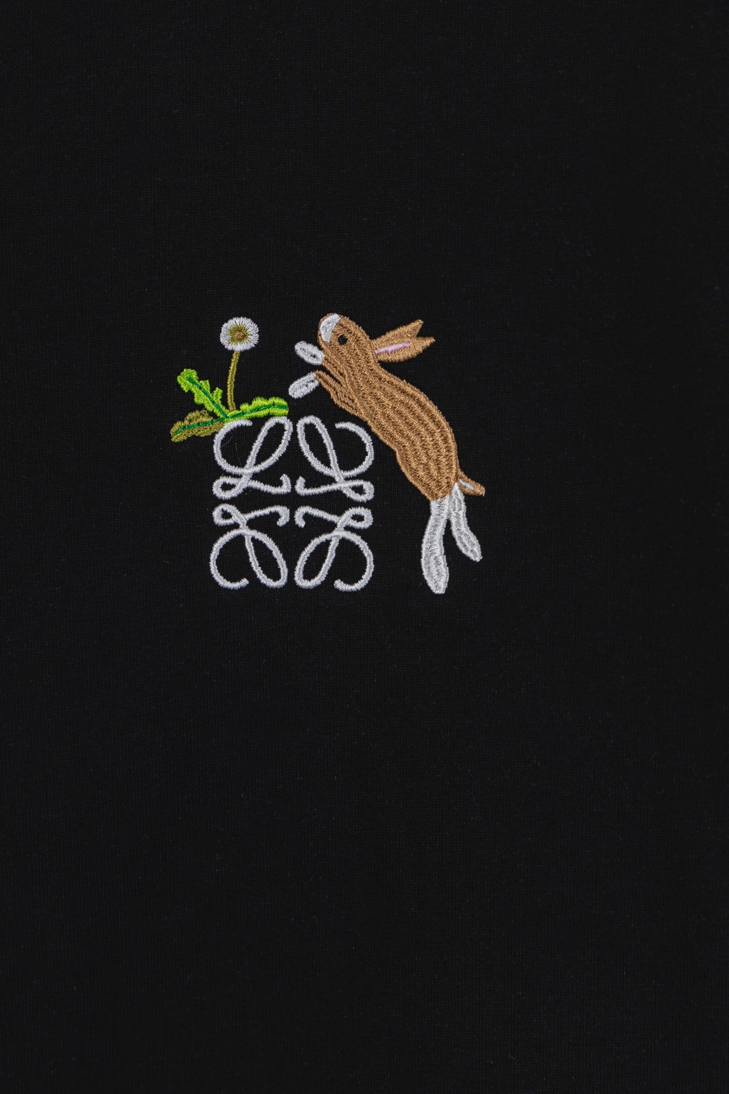 LuxluxHouse Best Quality Clothes T-shirt Loewe