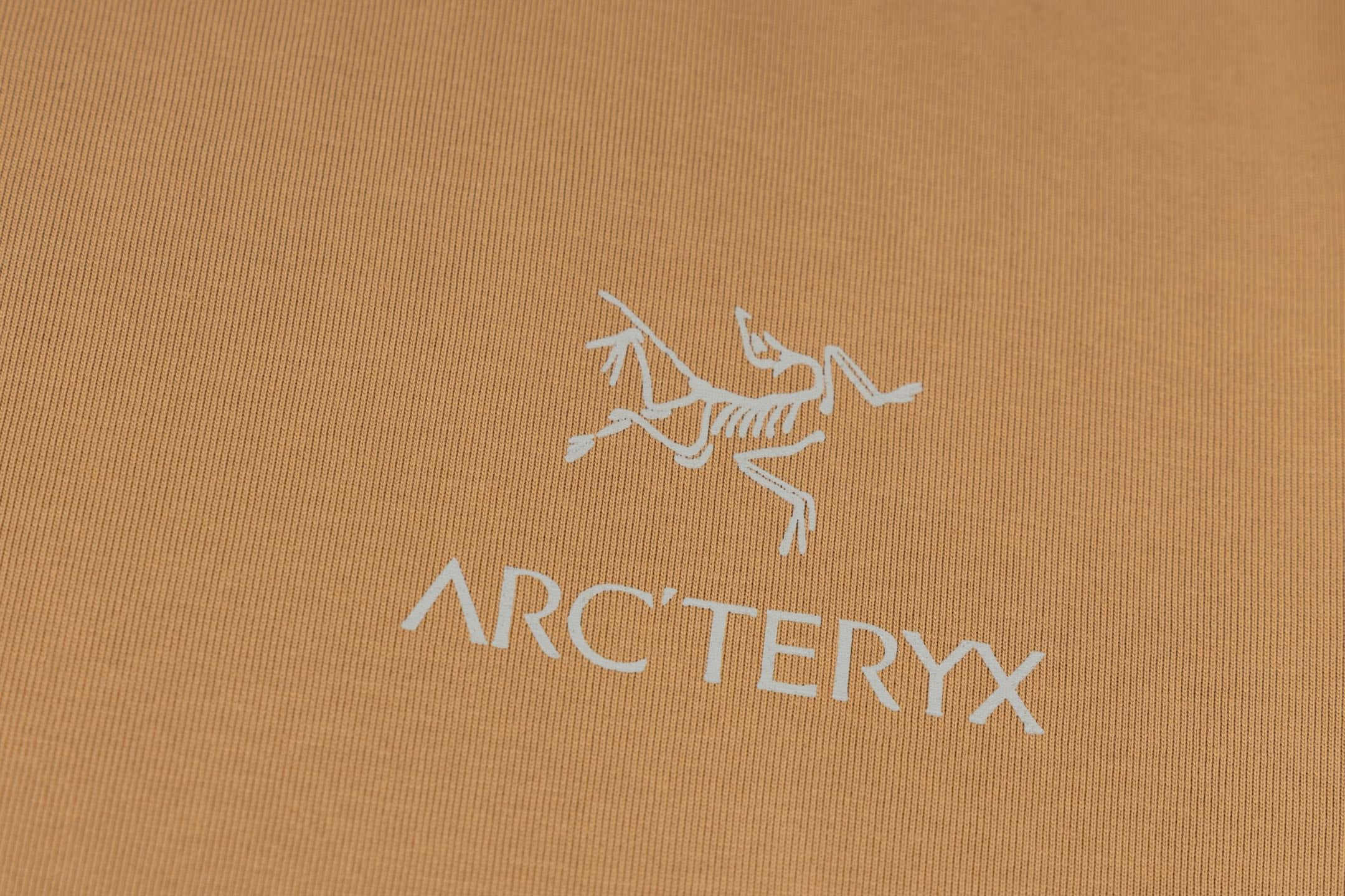 LuxluxHouse Best Quality Clothes T-shirt Arcteryx