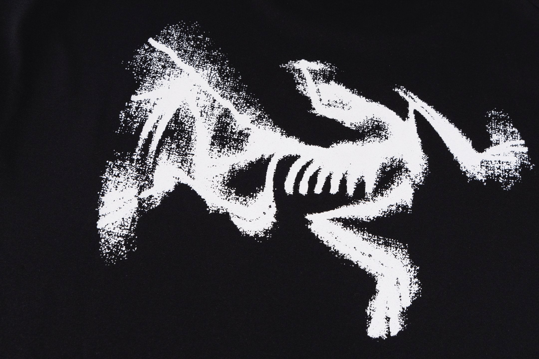 LuxluxHouse Best Quality Clothes T-shirt Arcteryx