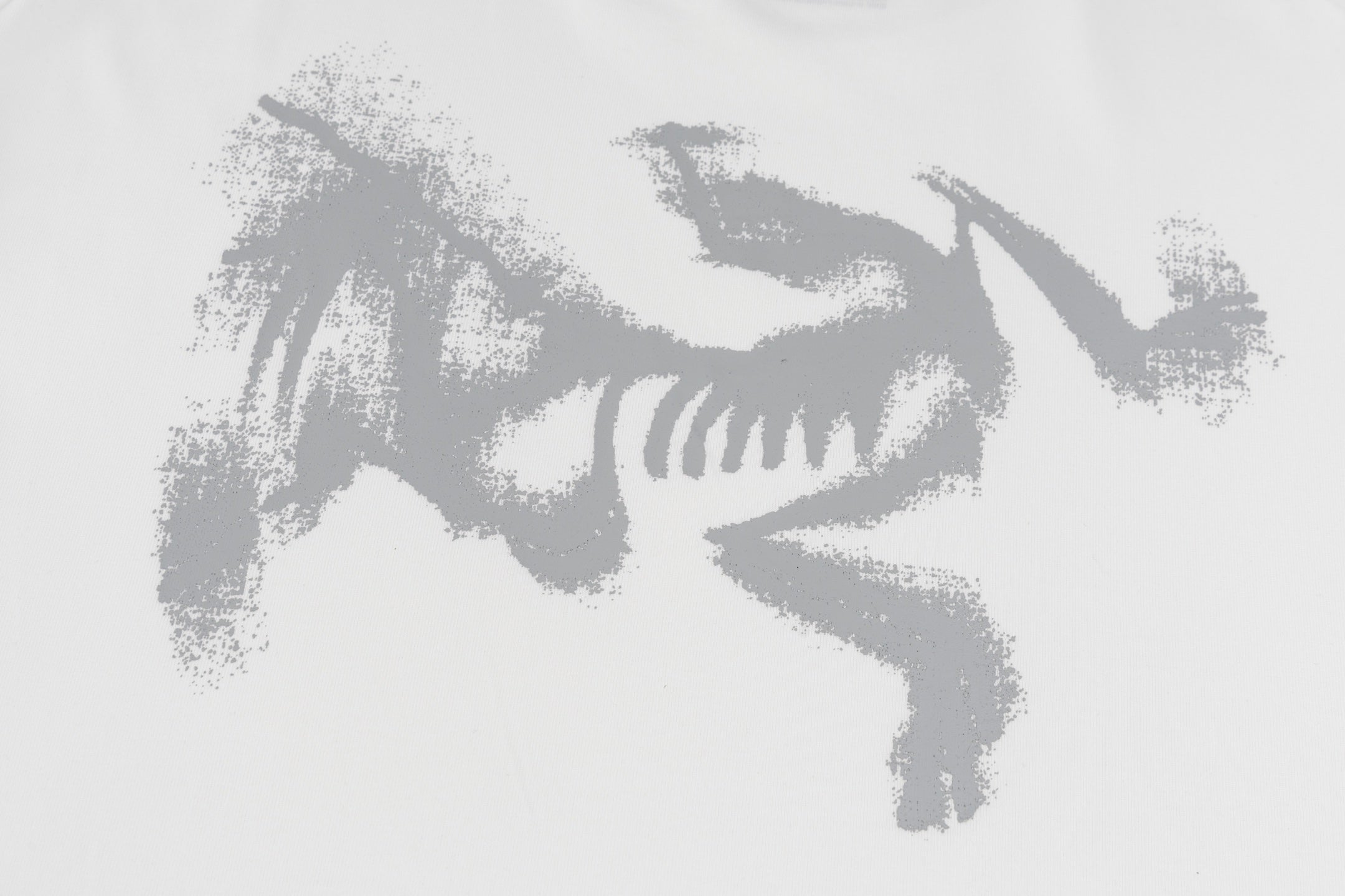 LuxluxHouse Best Quality Clothes T-shirt Arcteryx