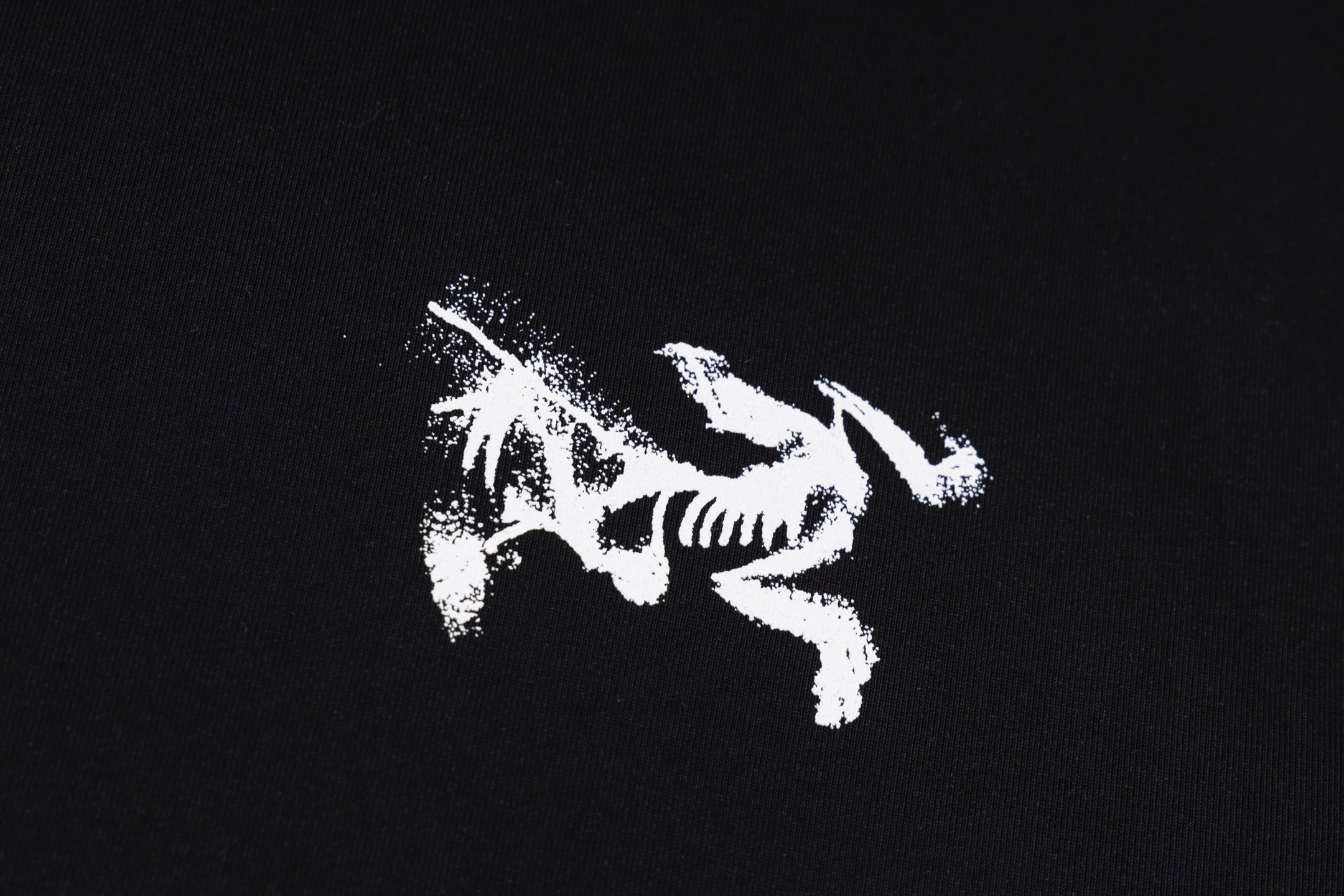 LuxluxHouse Best Quality Clothes T-shirt Arcteryx