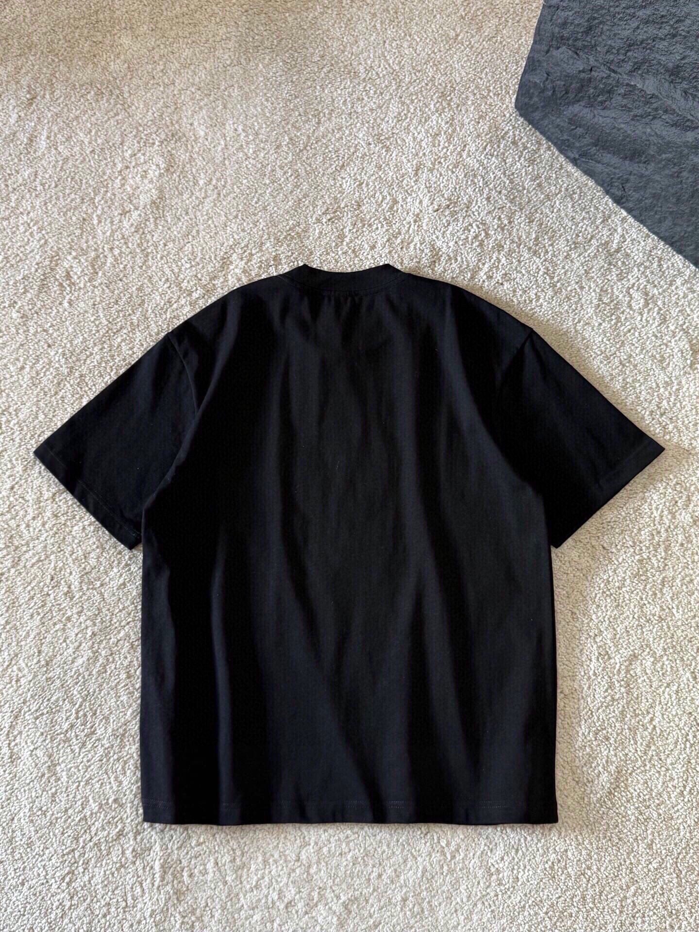 LuxluxHouse Best Quality Clothes Ralph Lauren T-shirt