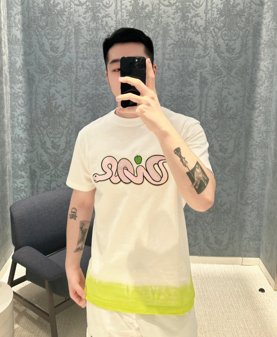 LuxluxHouse Best Quality Clothes T-shirt Dior