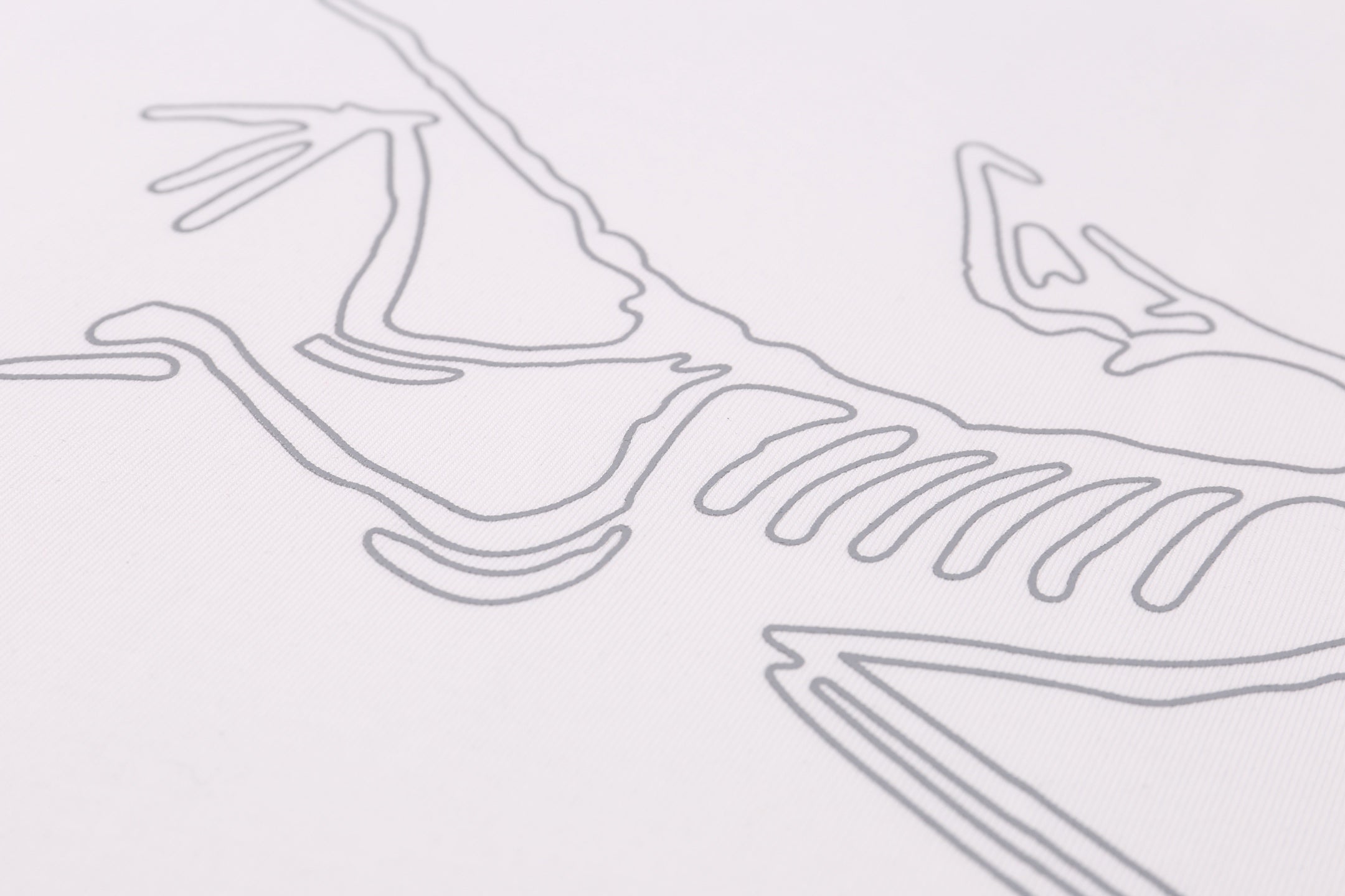 LuxluxHouse Best Quality Clothes T-shirt Arcteryx