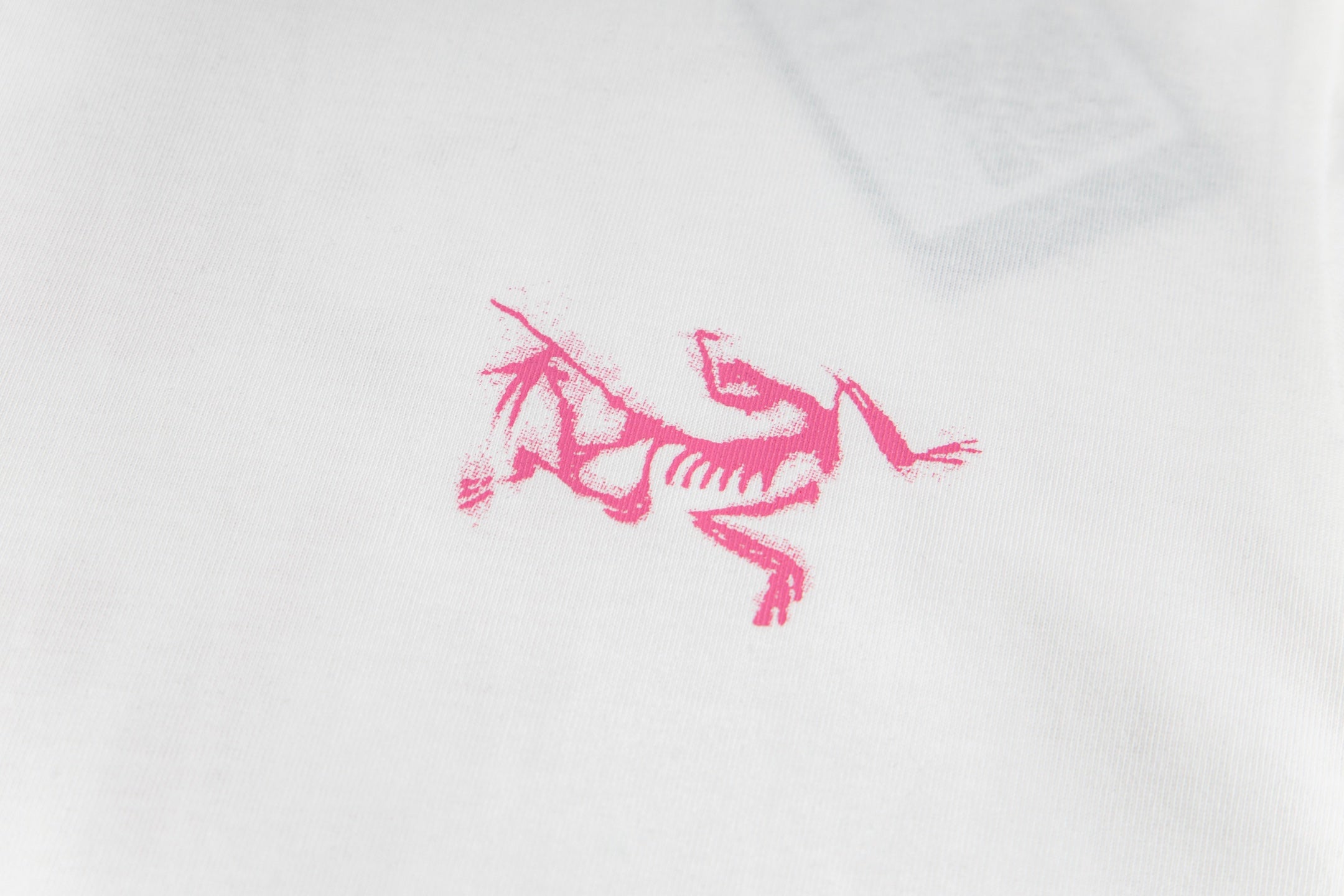 LuxluxHouse Best Quality Clothes T-shirt Arcteryx