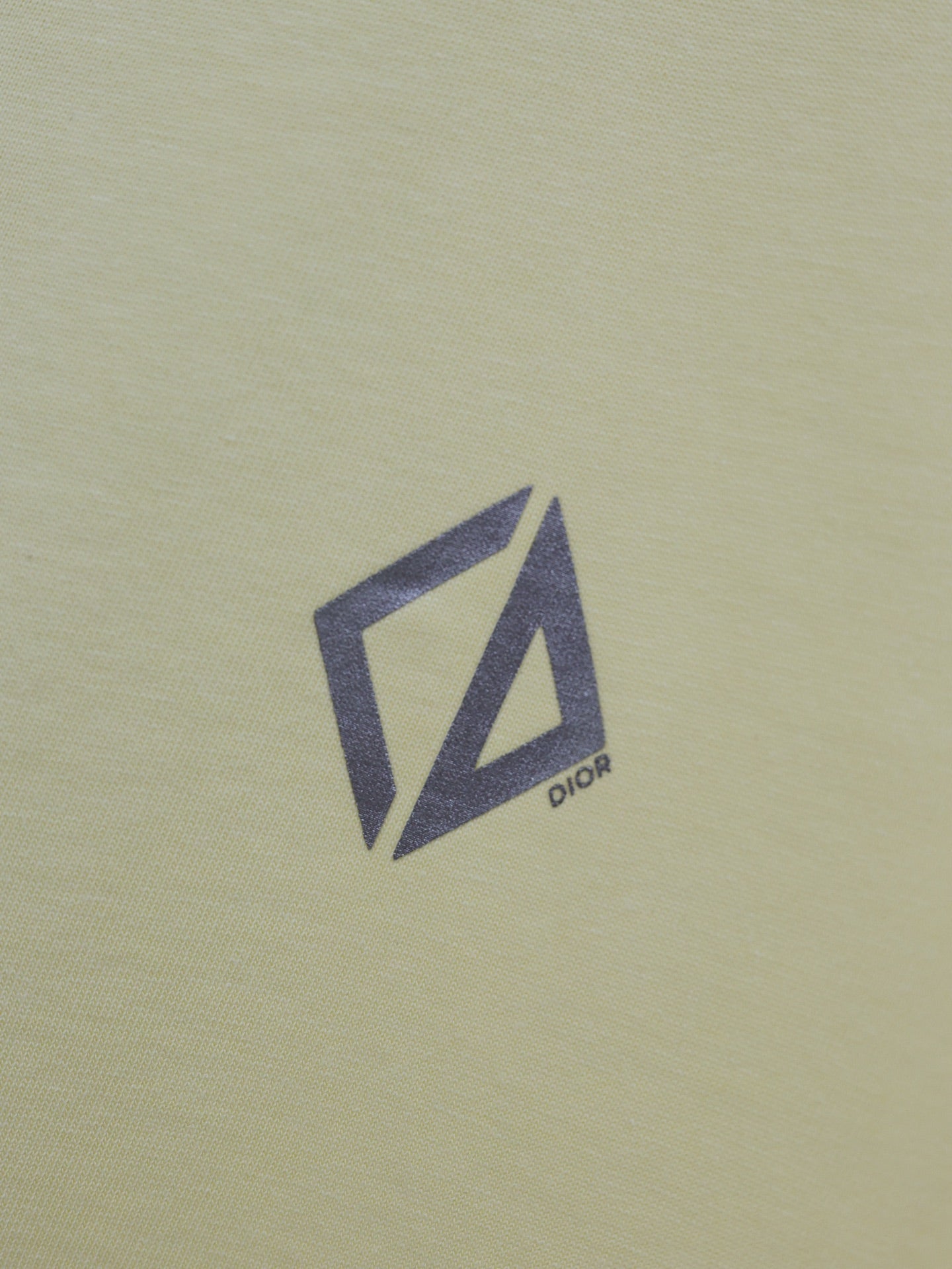 LuxluxHouse Best Quality Clothes T-shirt Dior