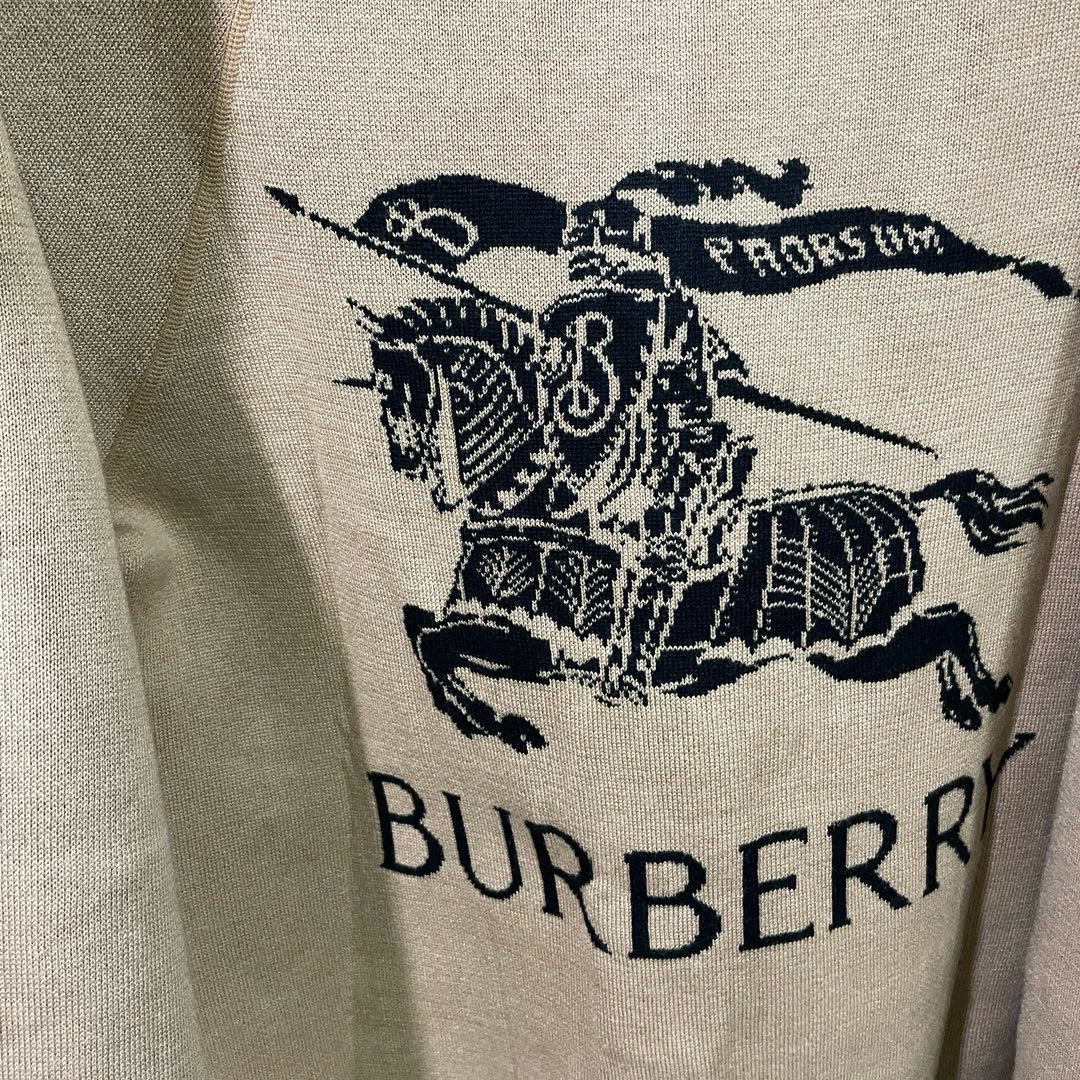 LuxluxHouse Best Quality Clothes Burberry Hoodie & Sweater