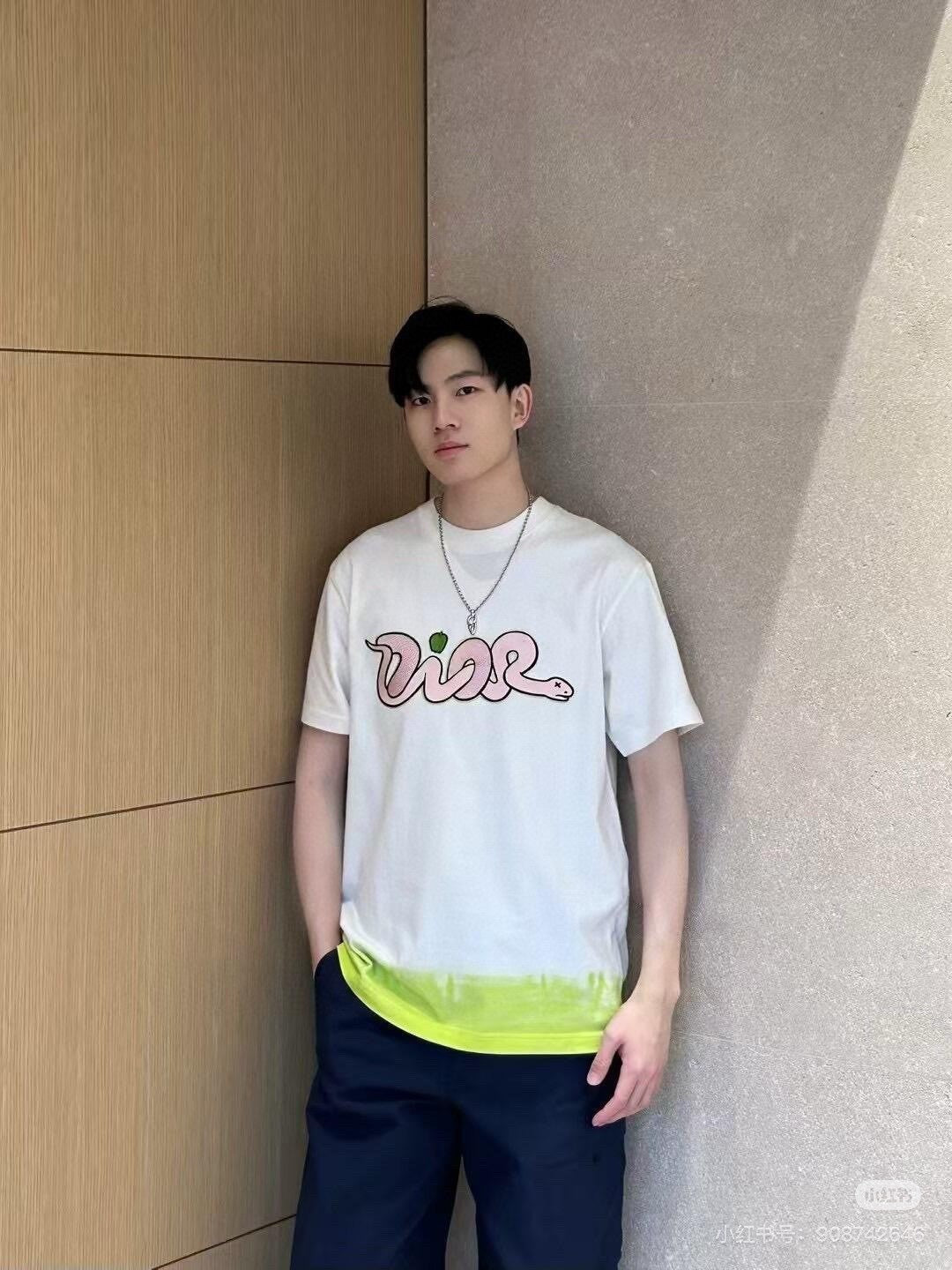 LuxluxHouse Best Quality Clothes T-shirt Dior