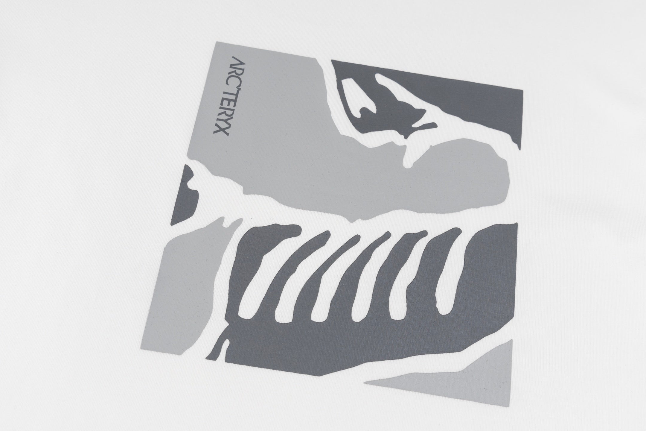 LuxluxHouse Best Quality Clothes T-shirt Arcteryx