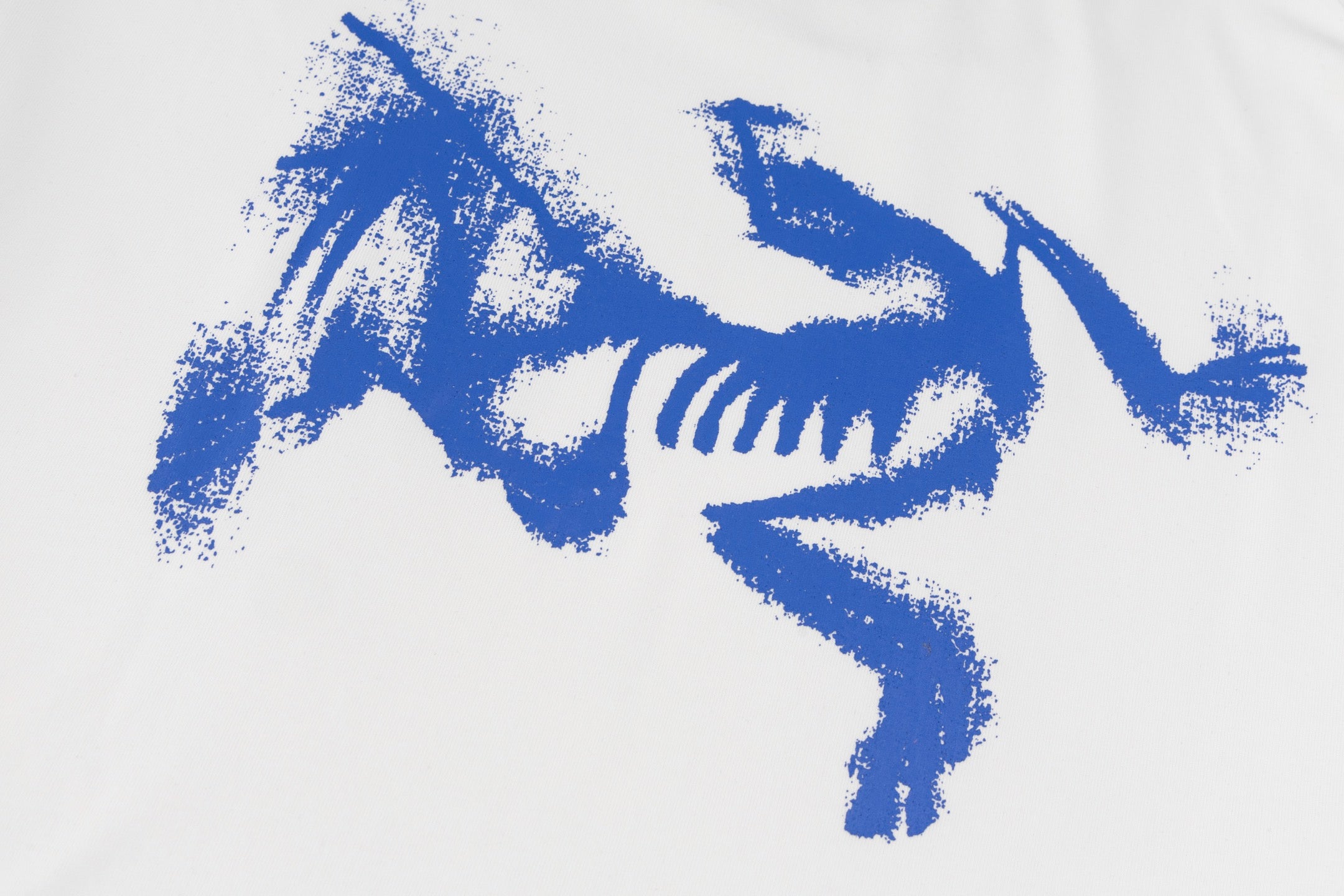 LuxluxHouse Best Quality Clothes T-shirt Arcteryx