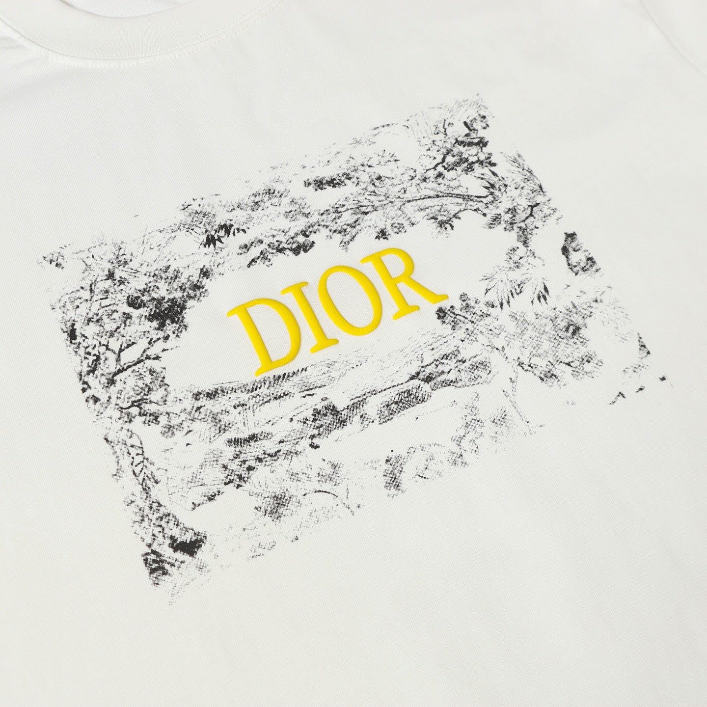 LuxluxHouse Best Quality Clothes T-shirt Dior