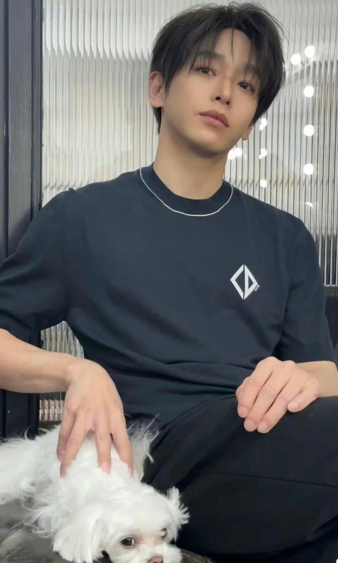 LuxluxHouse Best Quality Clothes T-shirt Dior