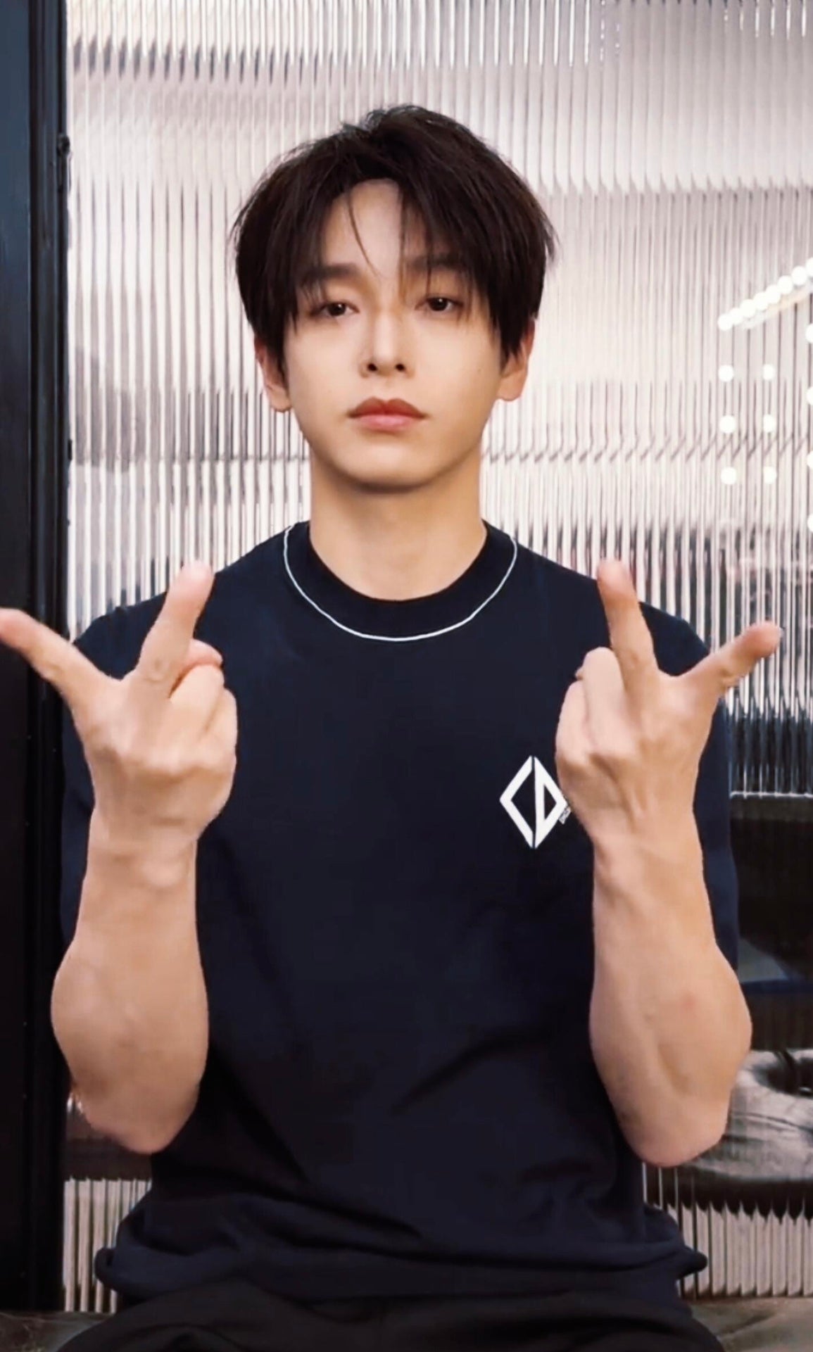 LuxluxHouse Best Quality Clothes T-shirt Dior