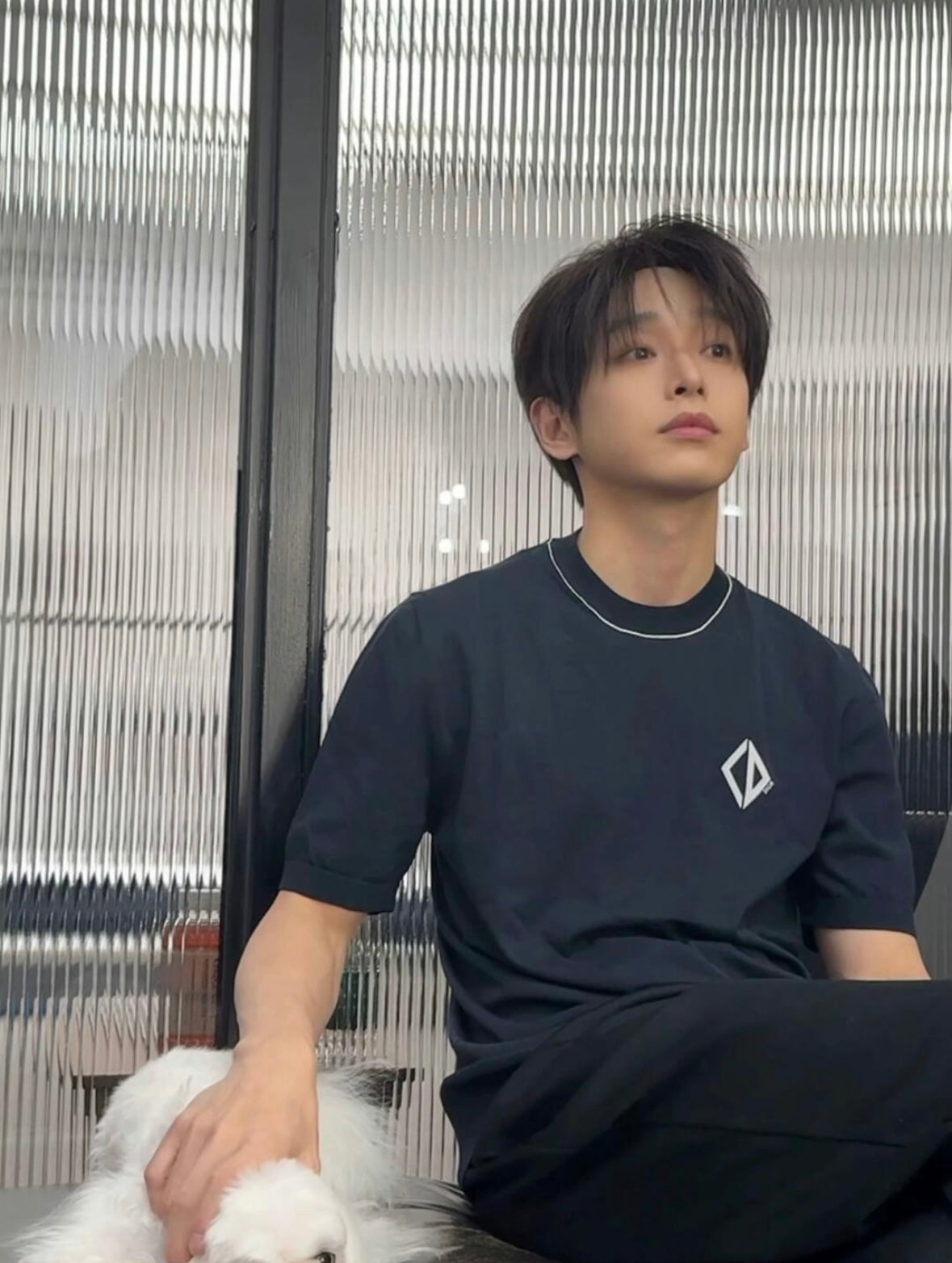 LuxluxHouse Best Quality Clothes T-shirt Dior