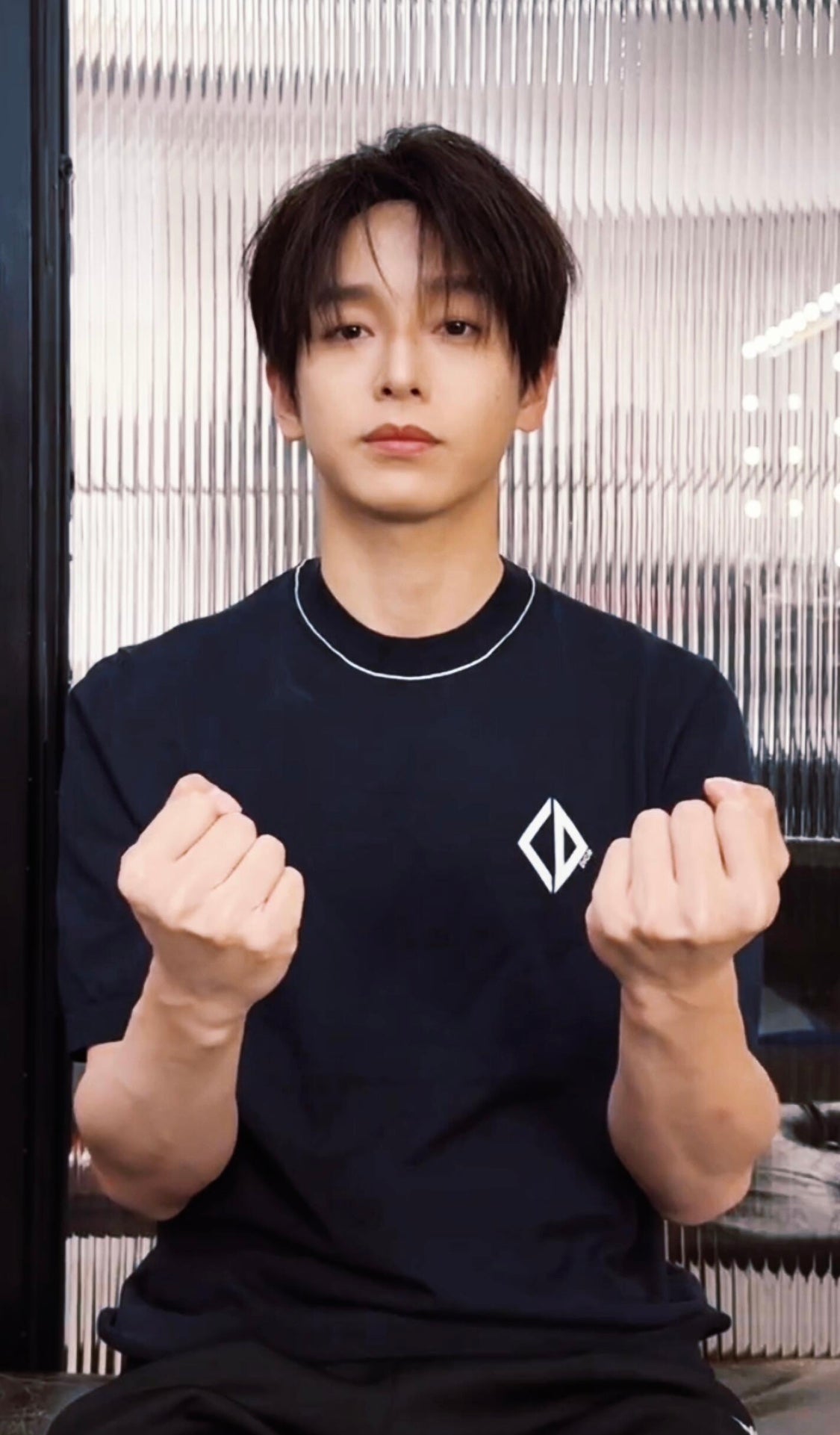 LuxluxHouse Best Quality Clothes T-shirt Dior