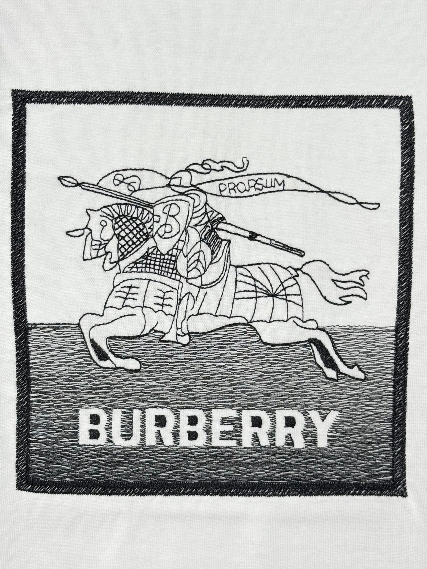 LuxluxHouse Best Quality Clothes Burberry T-shirt