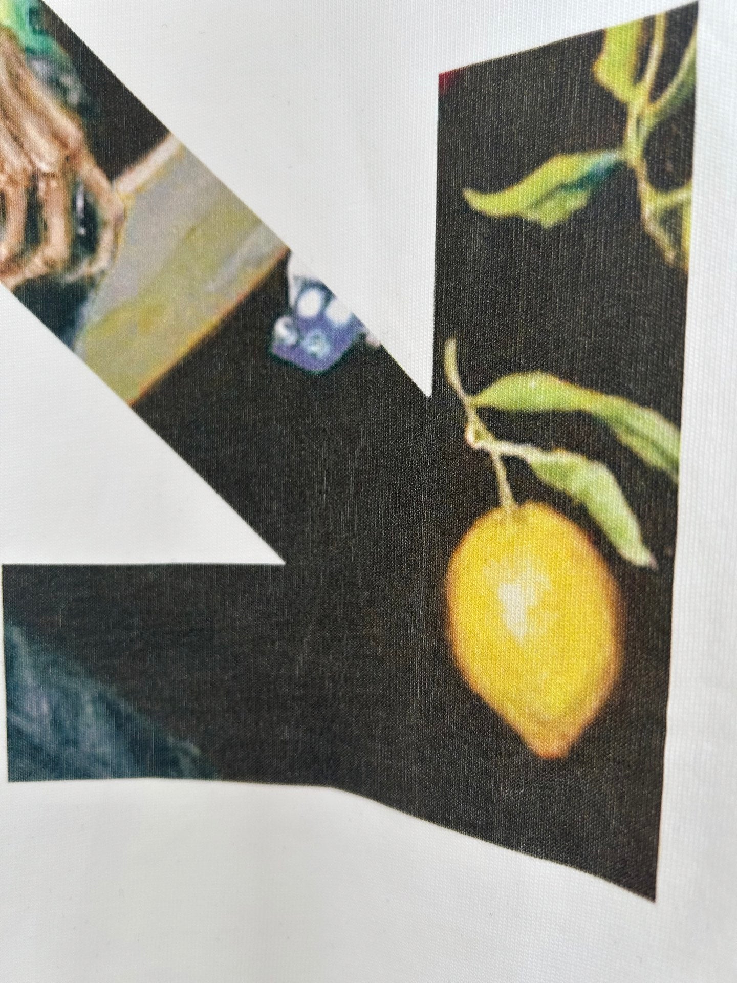 LuxluxHouse Best Quality Clothes Off White T-shirt