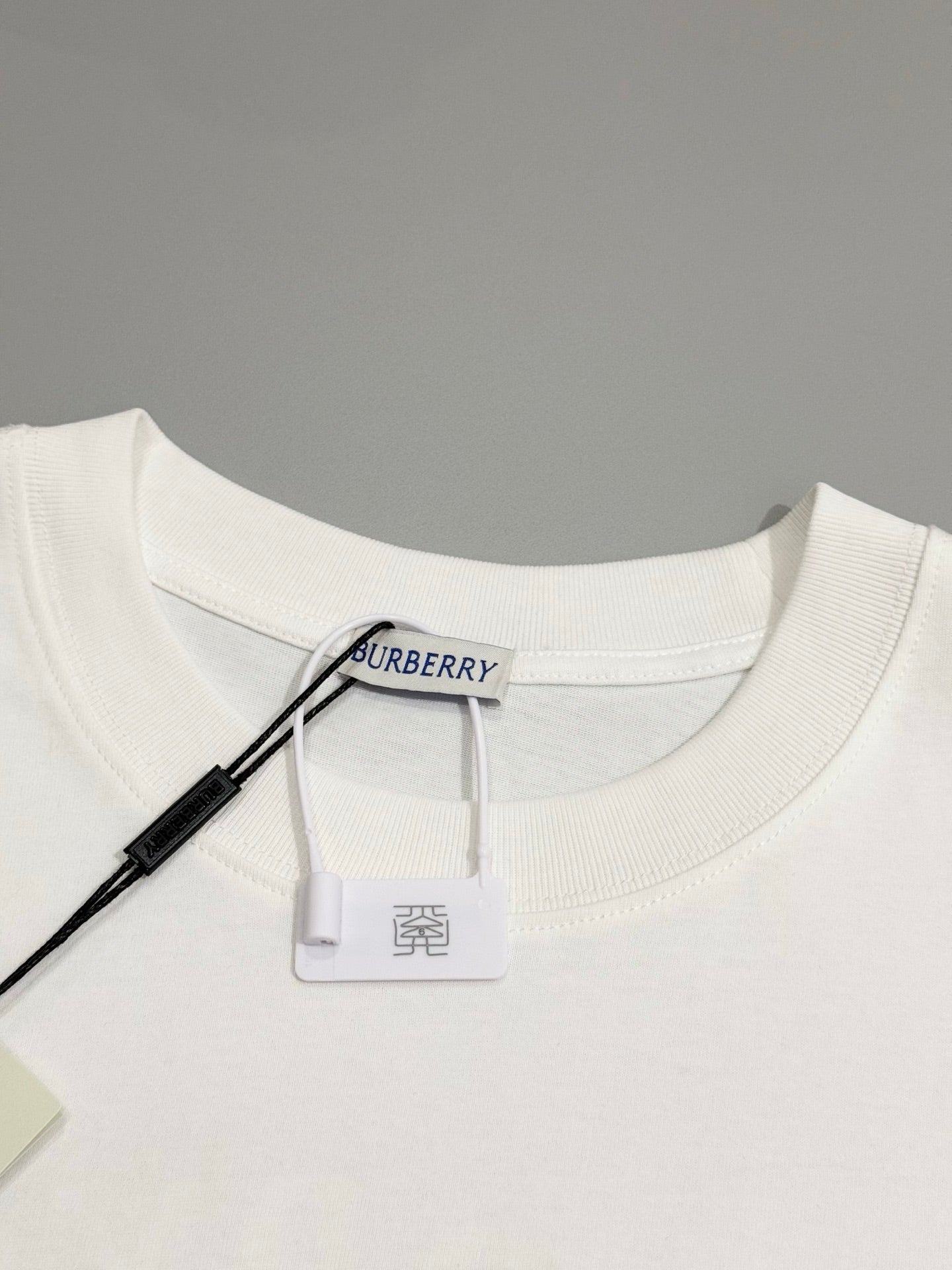 LuxluxHouse Best Quality Clothes Burberry T-shirt