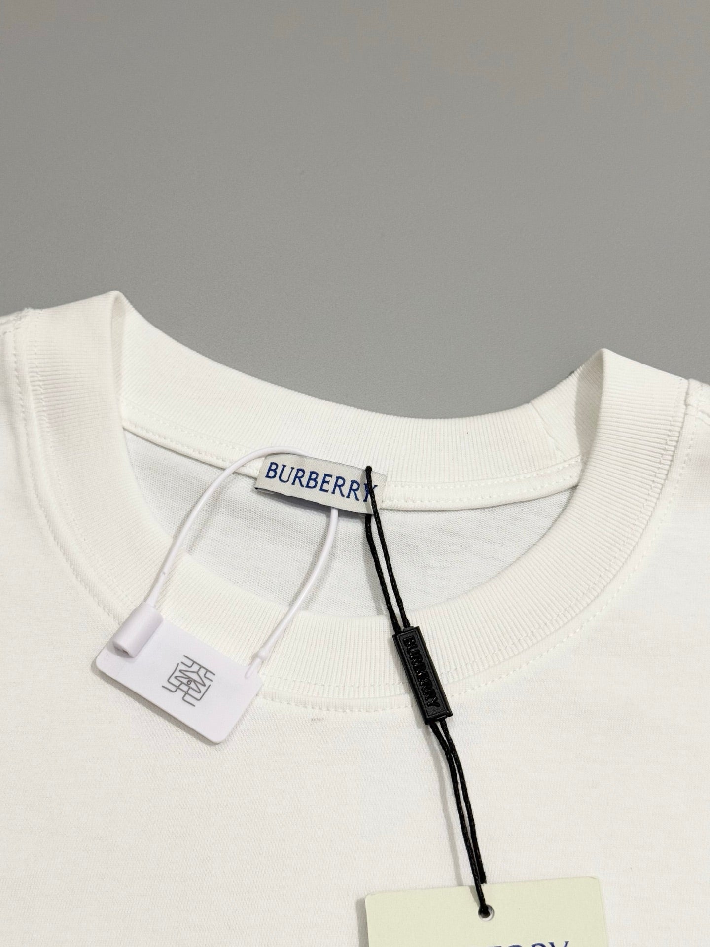 LuxluxHouse Best Quality Clothes Burberry T-shirt
