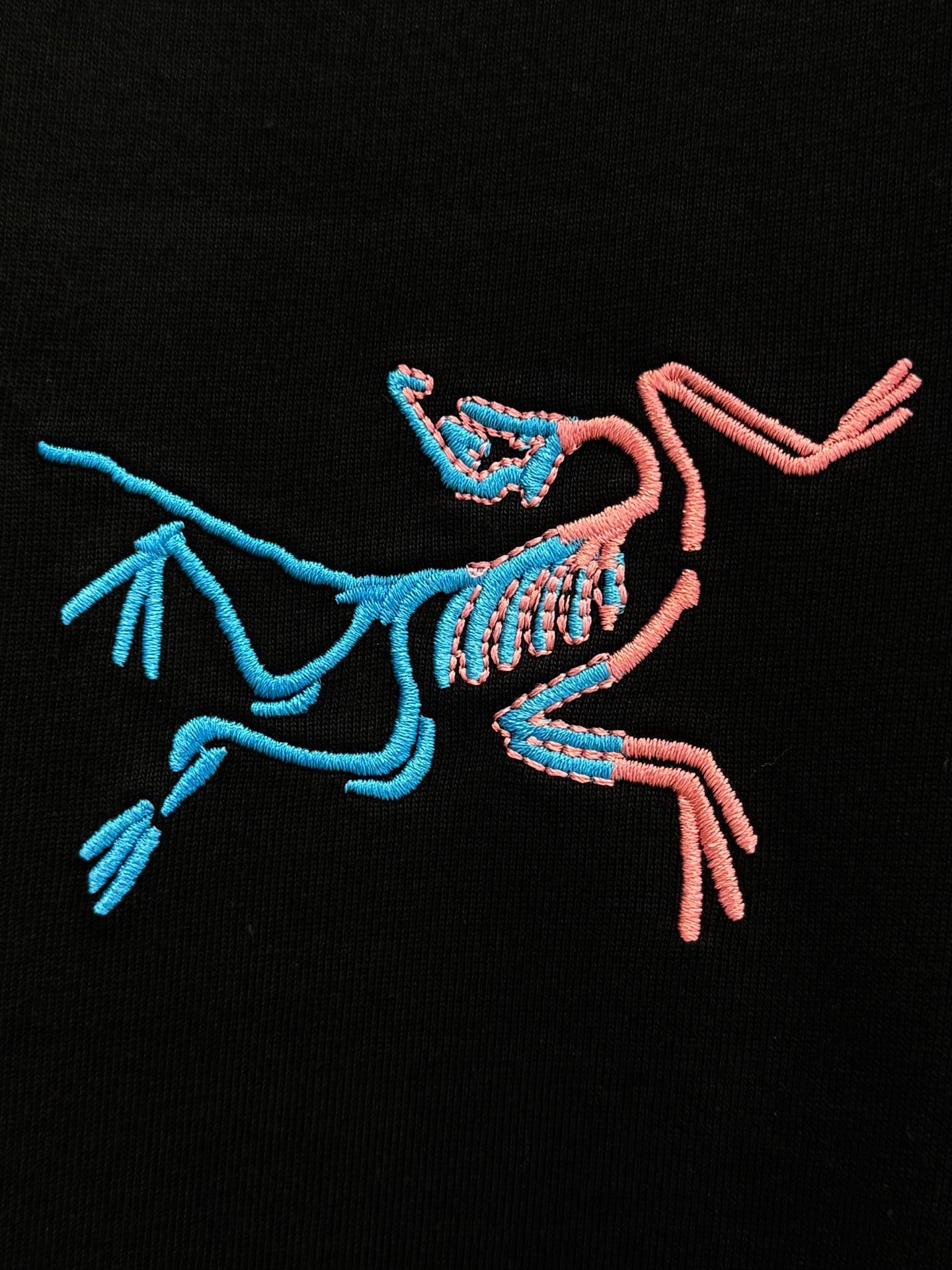 LuxluxHouse Best Quality Clothes T-shirt Arcteryx