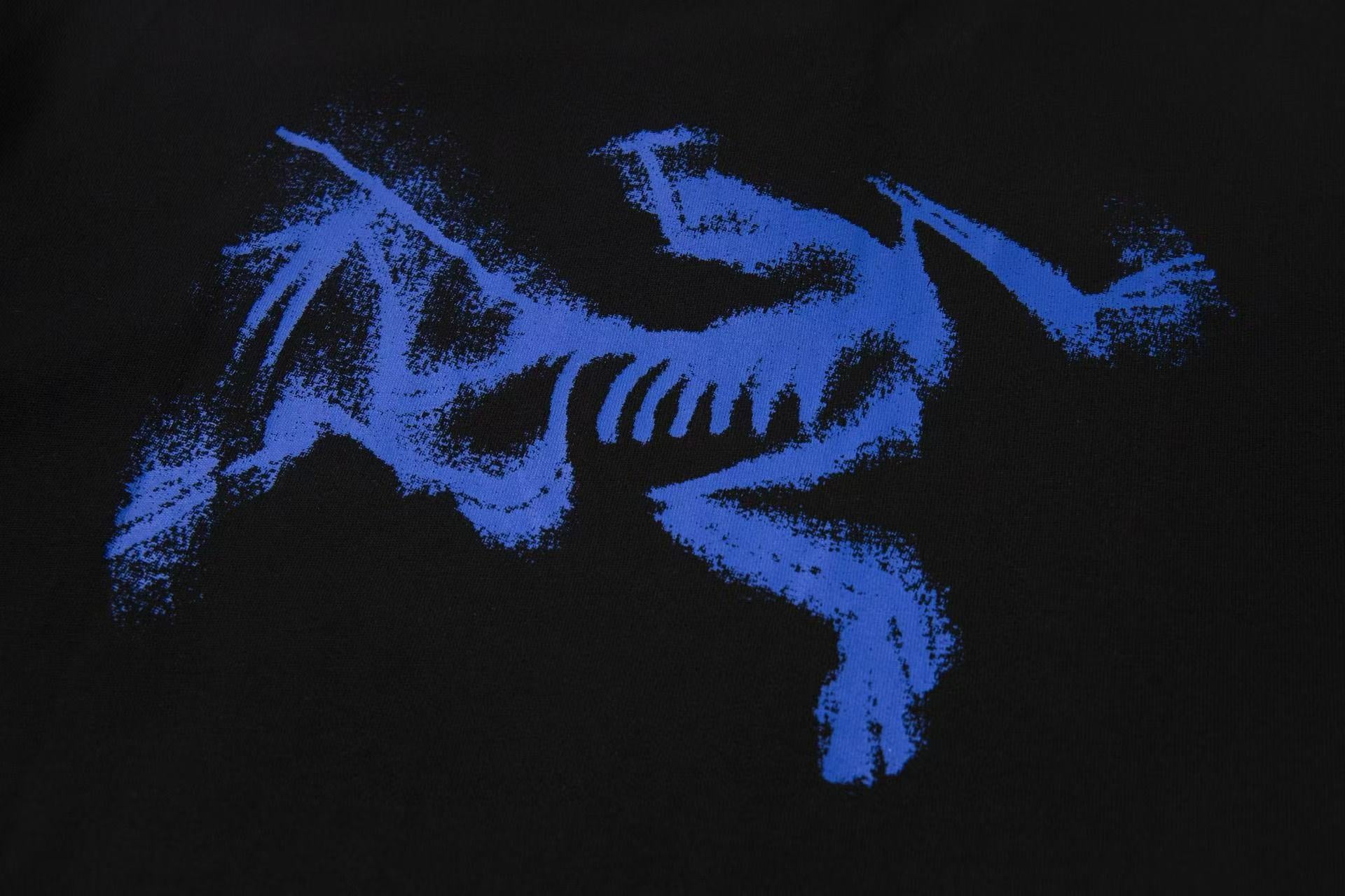 LuxluxHouse Best Quality Clothes T-shirt Arcteryx