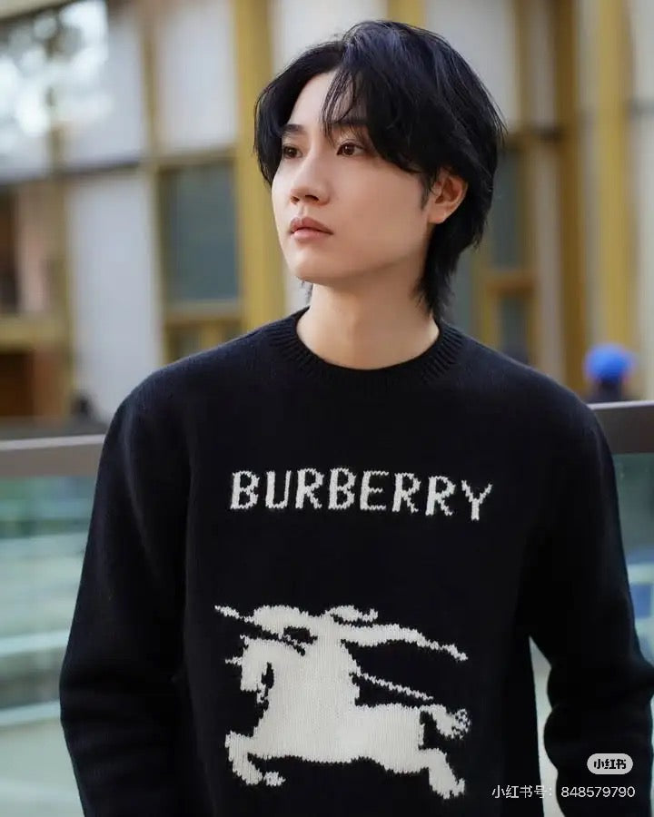 LuxluxHouse Best Quality Clothes Burberry Hoodie & Sweater