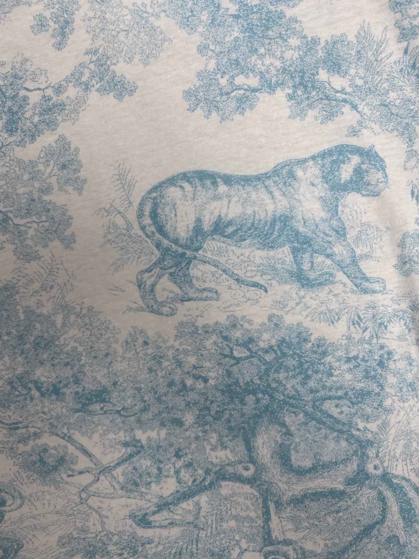 LuxluxHouse Best Quality Clothes T-shirt Dior