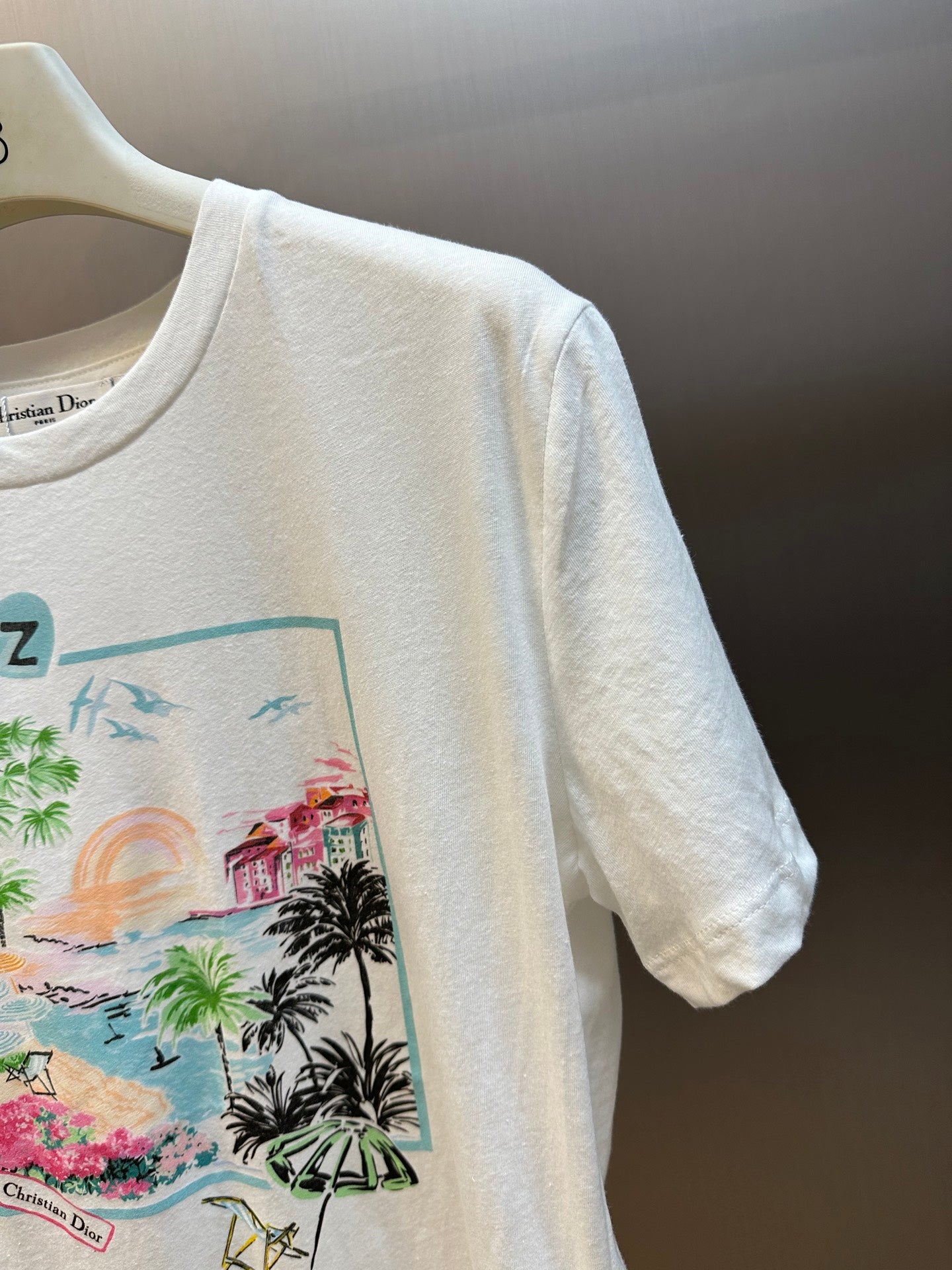 LuxluxHouse Best Quality Clothes T-shirt Dior