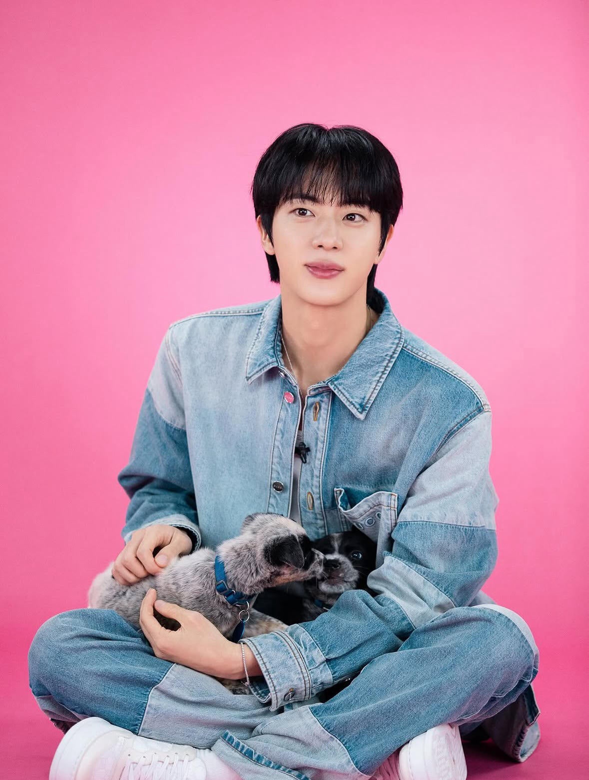 LuxluxHouse Best Quality Clothes Gucci Coats & Jackets