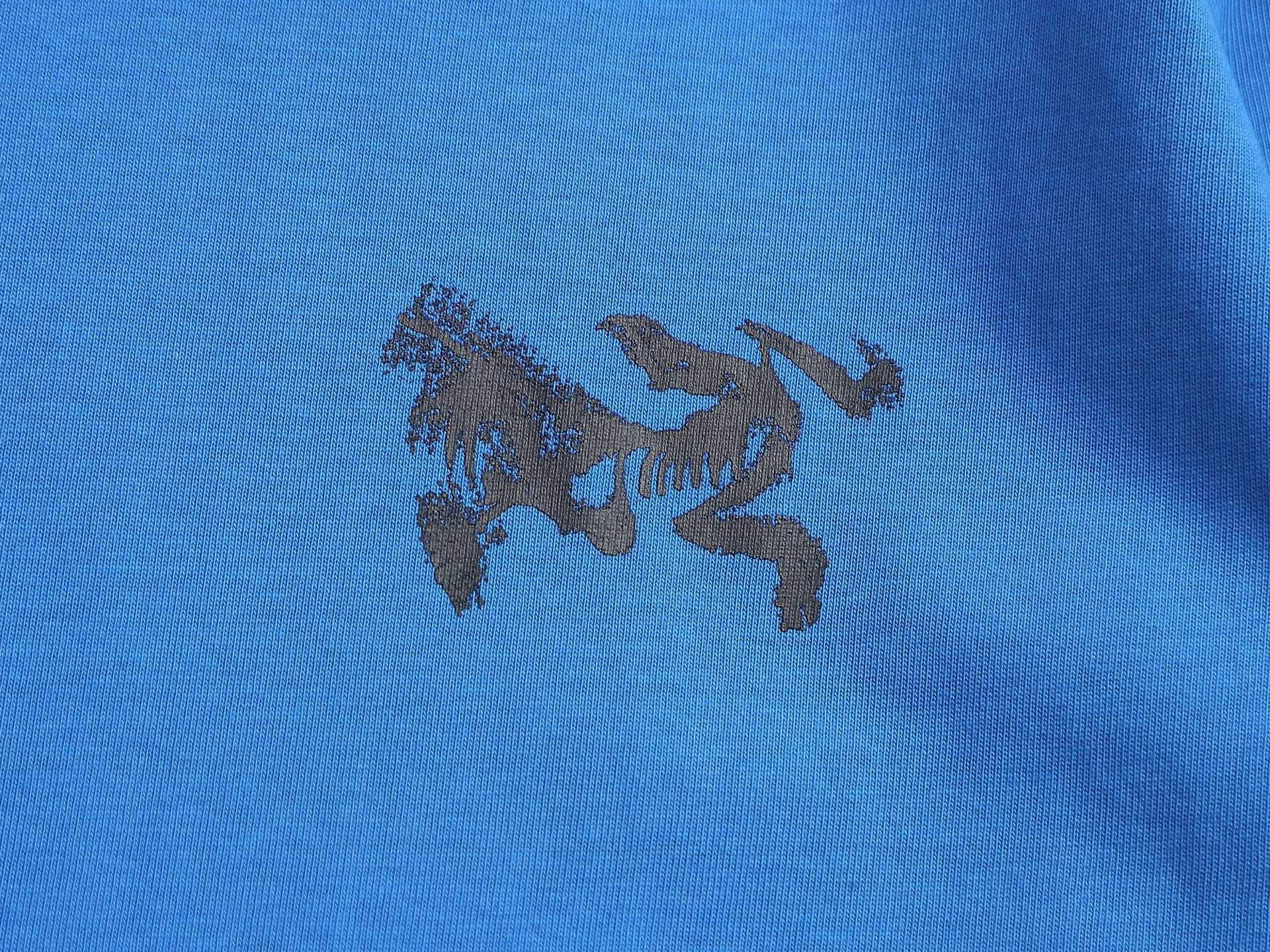 LuxluxHouse Best Quality Clothes T-shirt Arcteryx