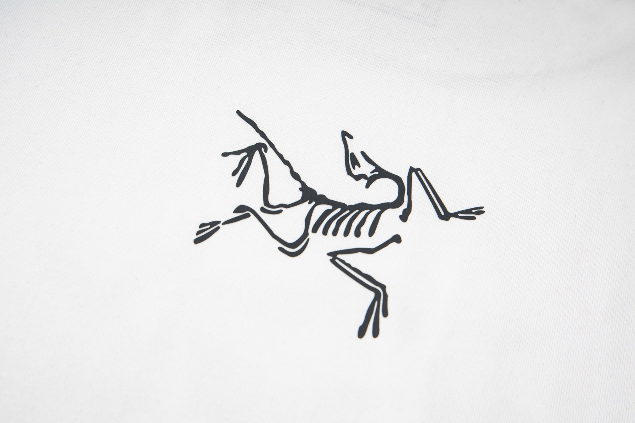 LuxluxHouse Best Quality Clothes T-shirt Arcteryx